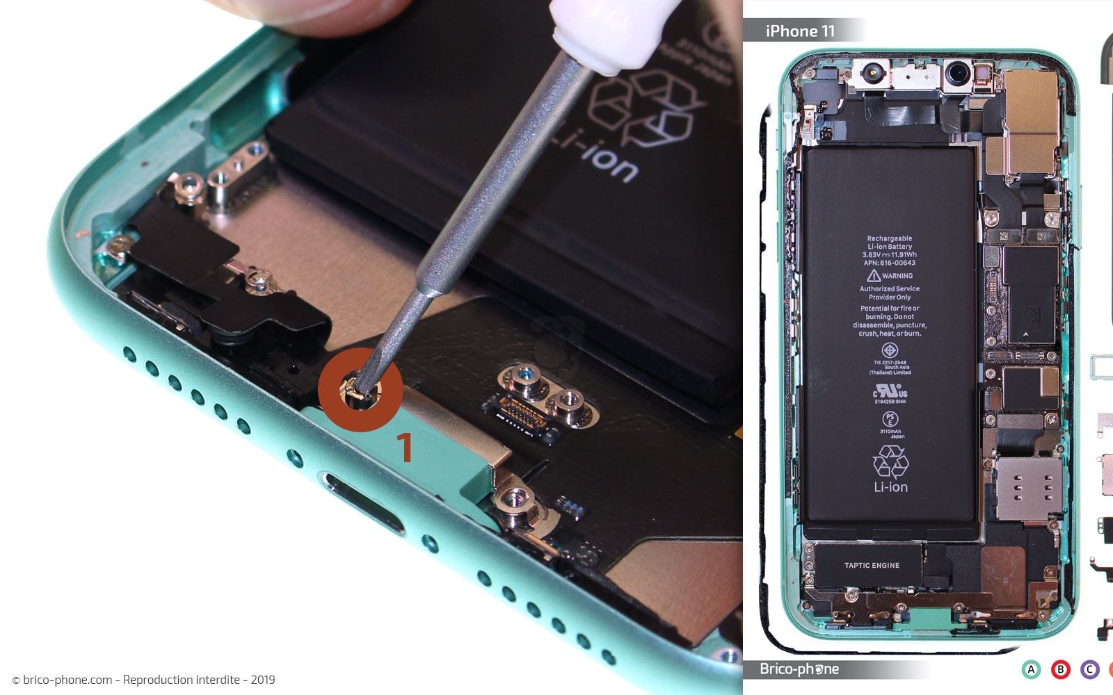 Remplacer le connecteur de charge sur iPhone 11 photo 1