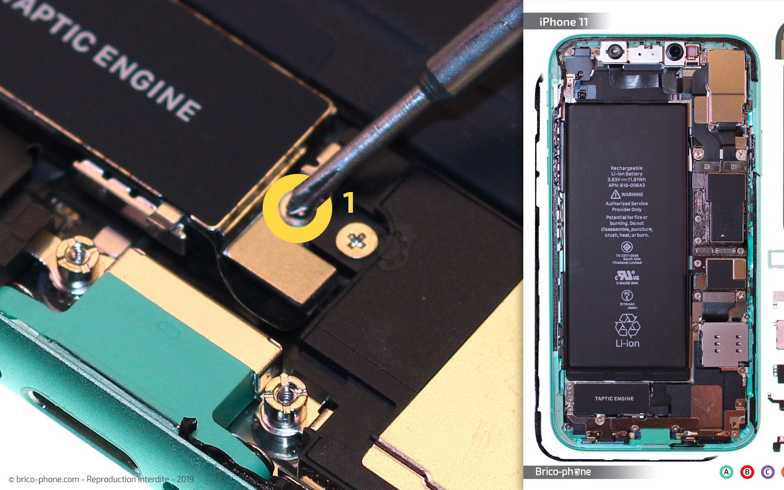 Remplacer le connecteur de charge sur iPhone 11 photo 1