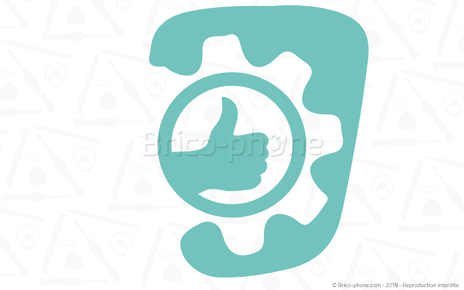 Changement de coque arrière sur Xperia L3 - L3 Dual photo 1