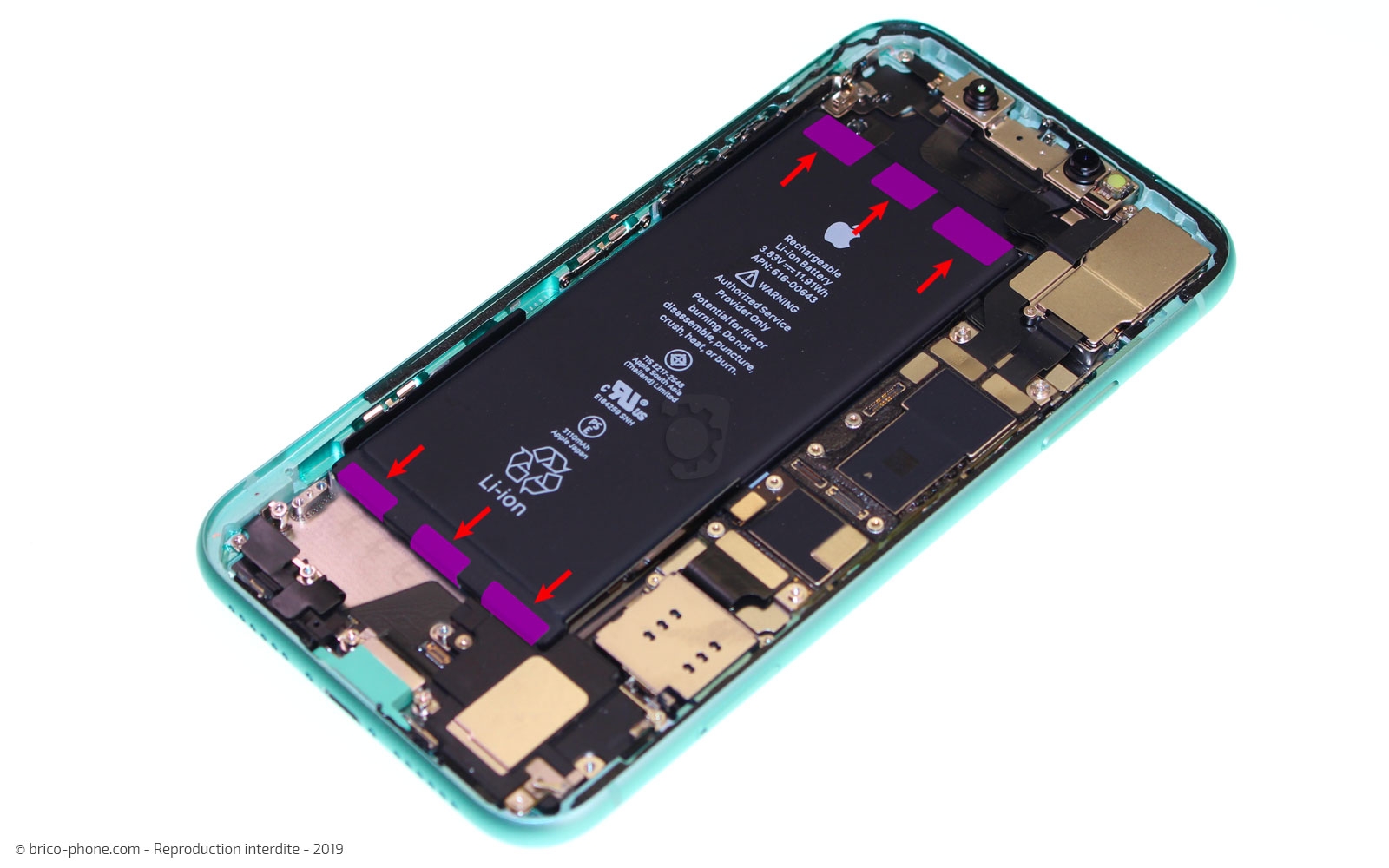 Démontage complet  sur iPhone 11 photo 1