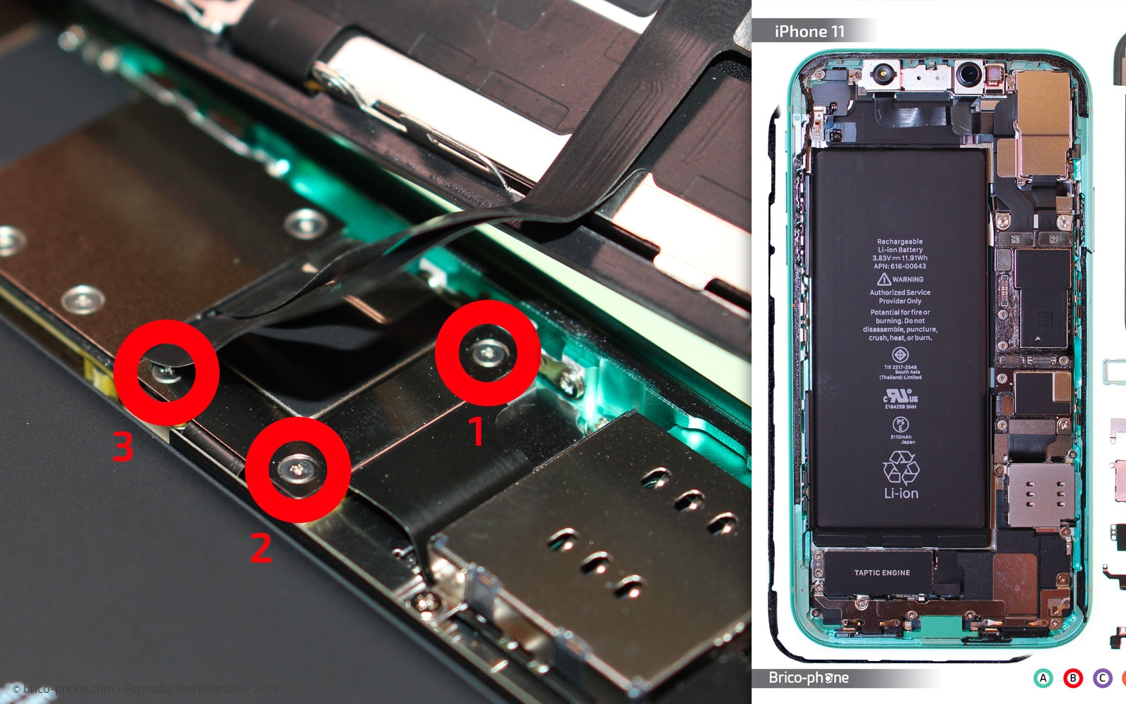Démontage complet  sur iPhone 11 photo 1
