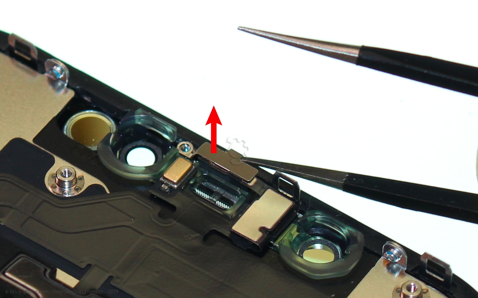 Démontage complet  sur iPhone 11 photo 1