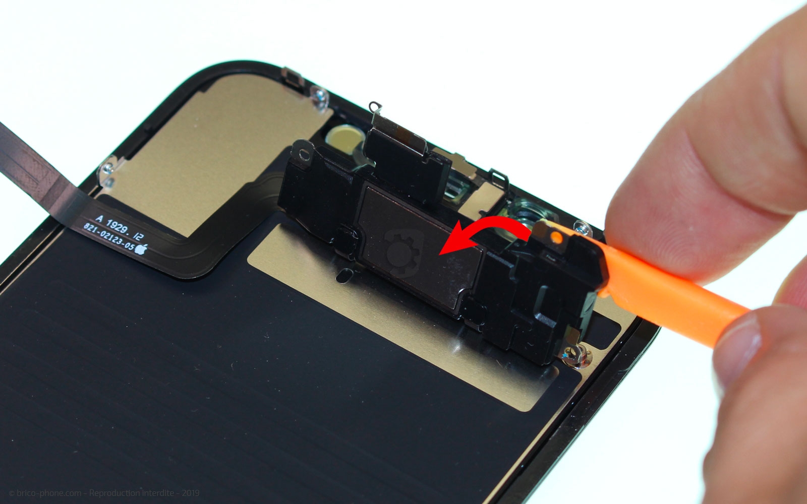 Démontage complet  sur iPhone 11 photo 4