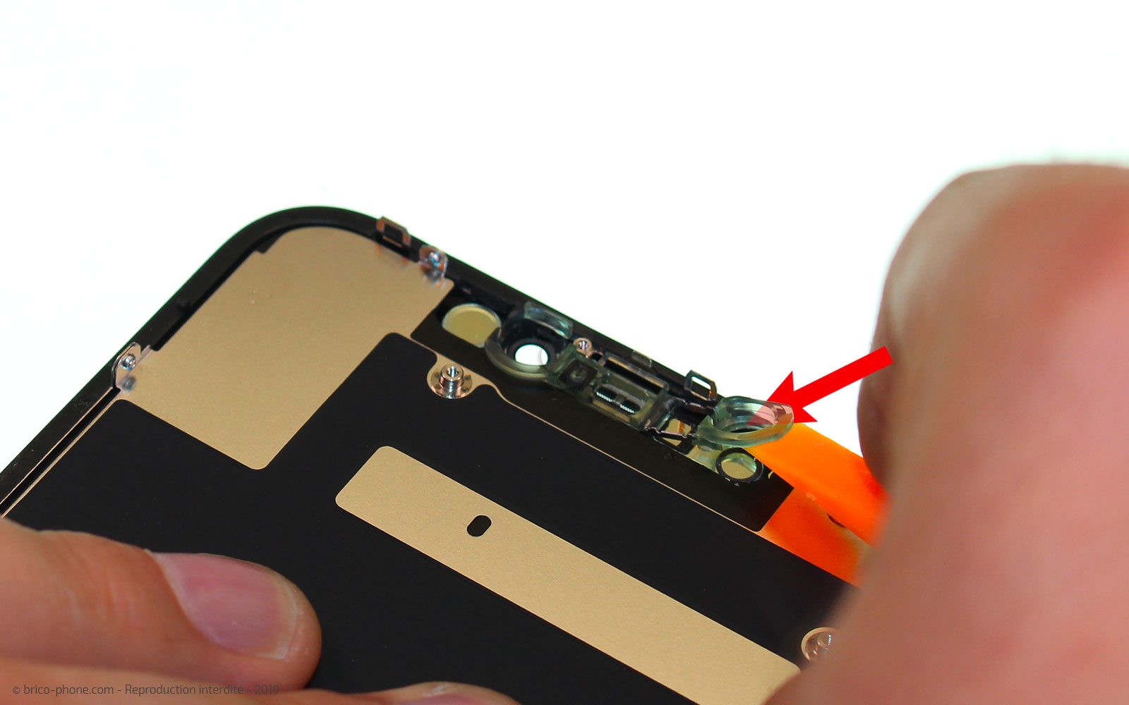 Démontage complet  sur iPhone 11 photo 2