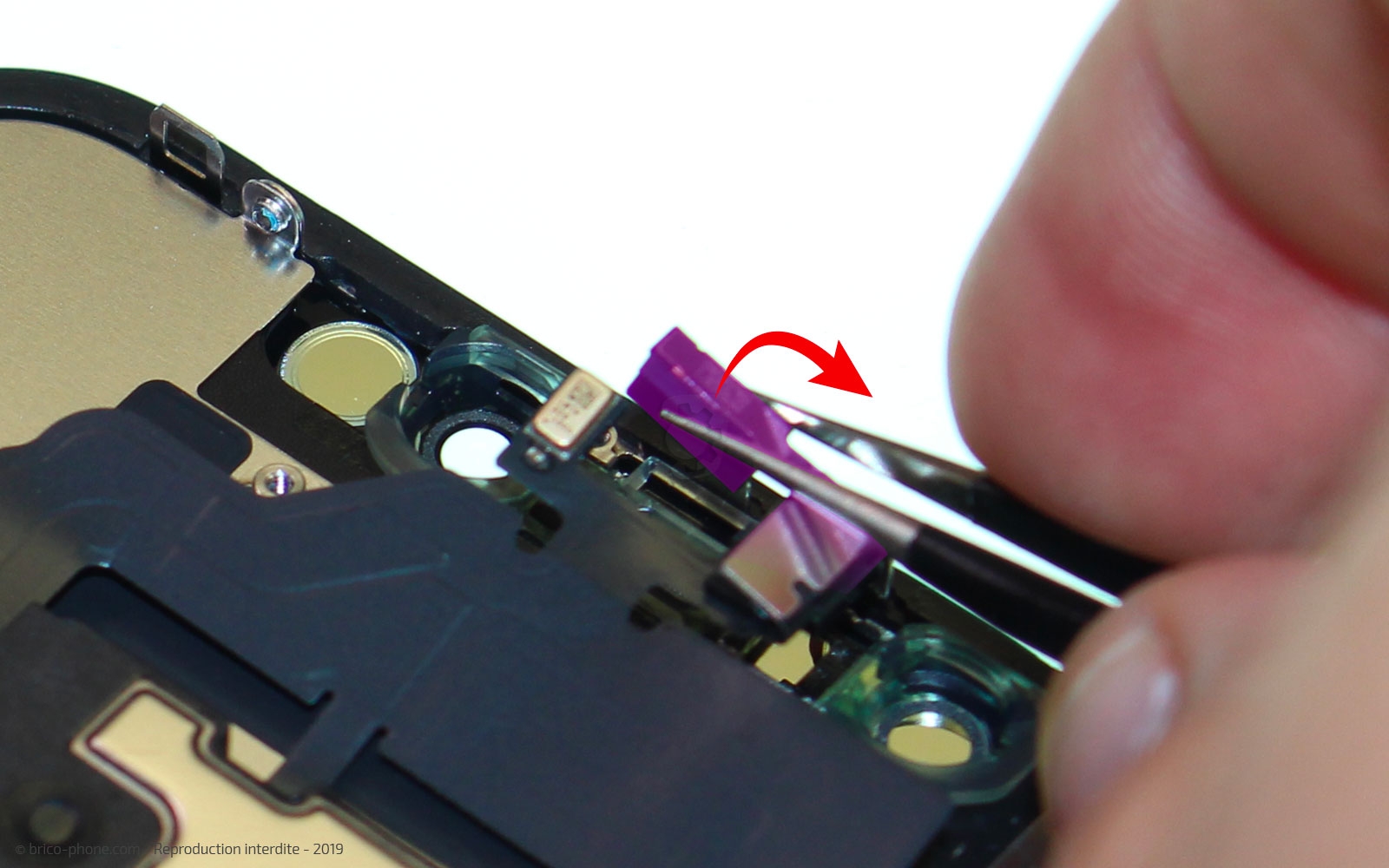 Démontage complet  sur iPhone 11 photo 3
