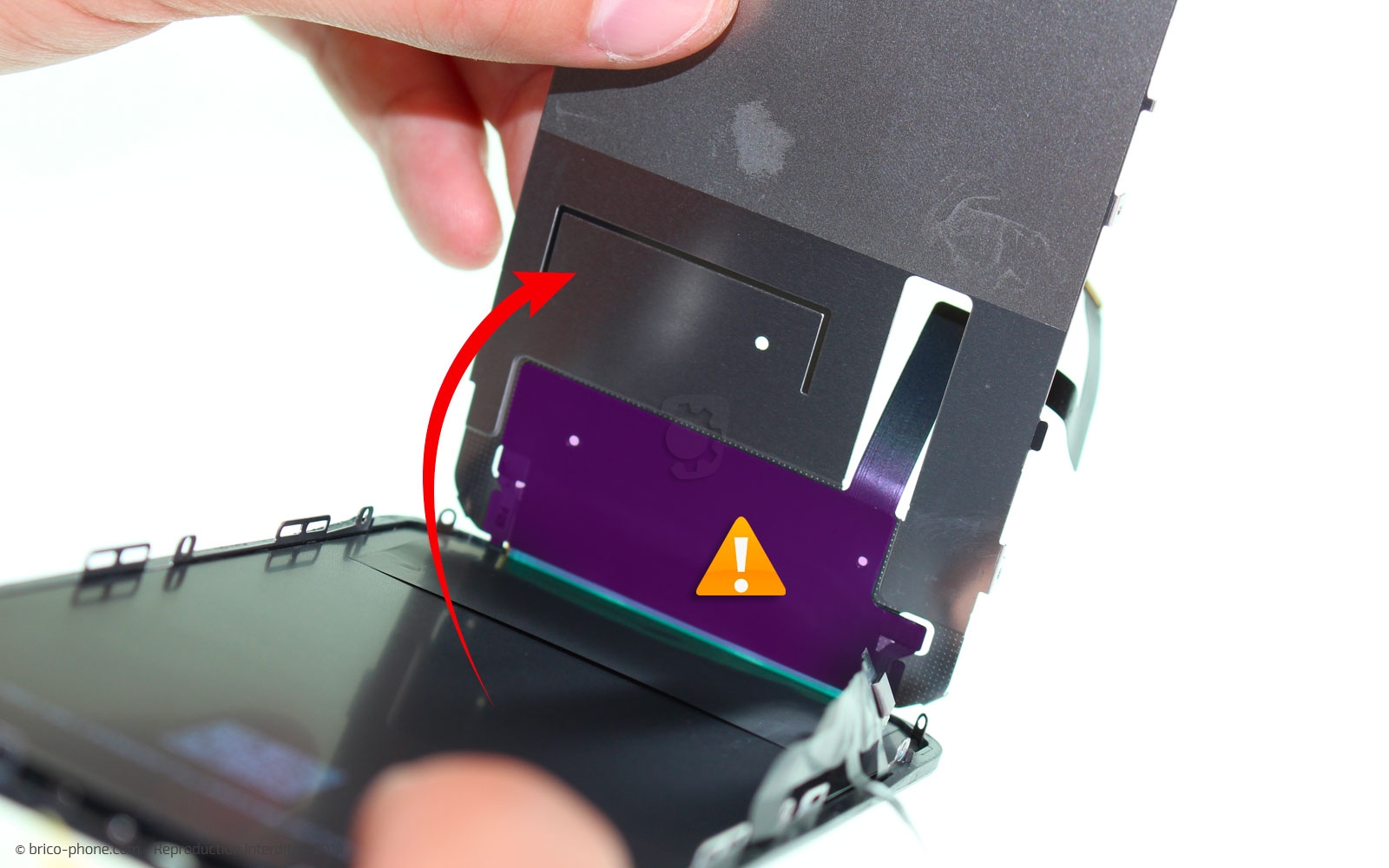 Démontage complet  sur iPhone 11 photo 1