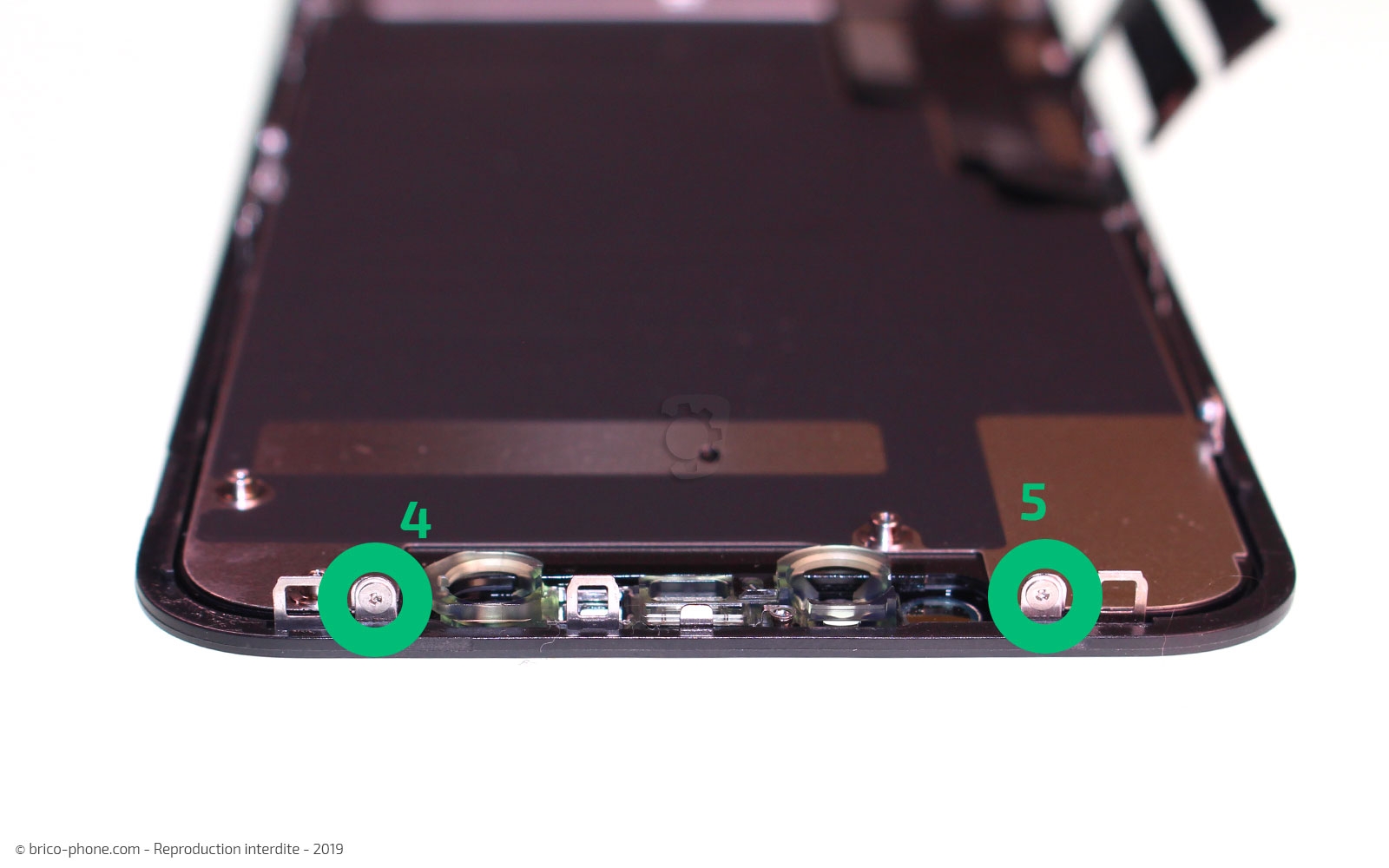 Démontage complet  sur iPhone 11 photo 2