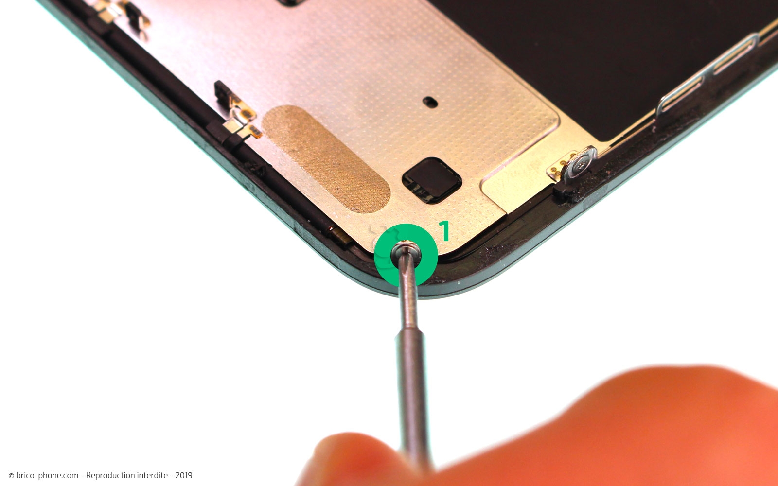 Démontage complet  sur iPhone 11 photo 4