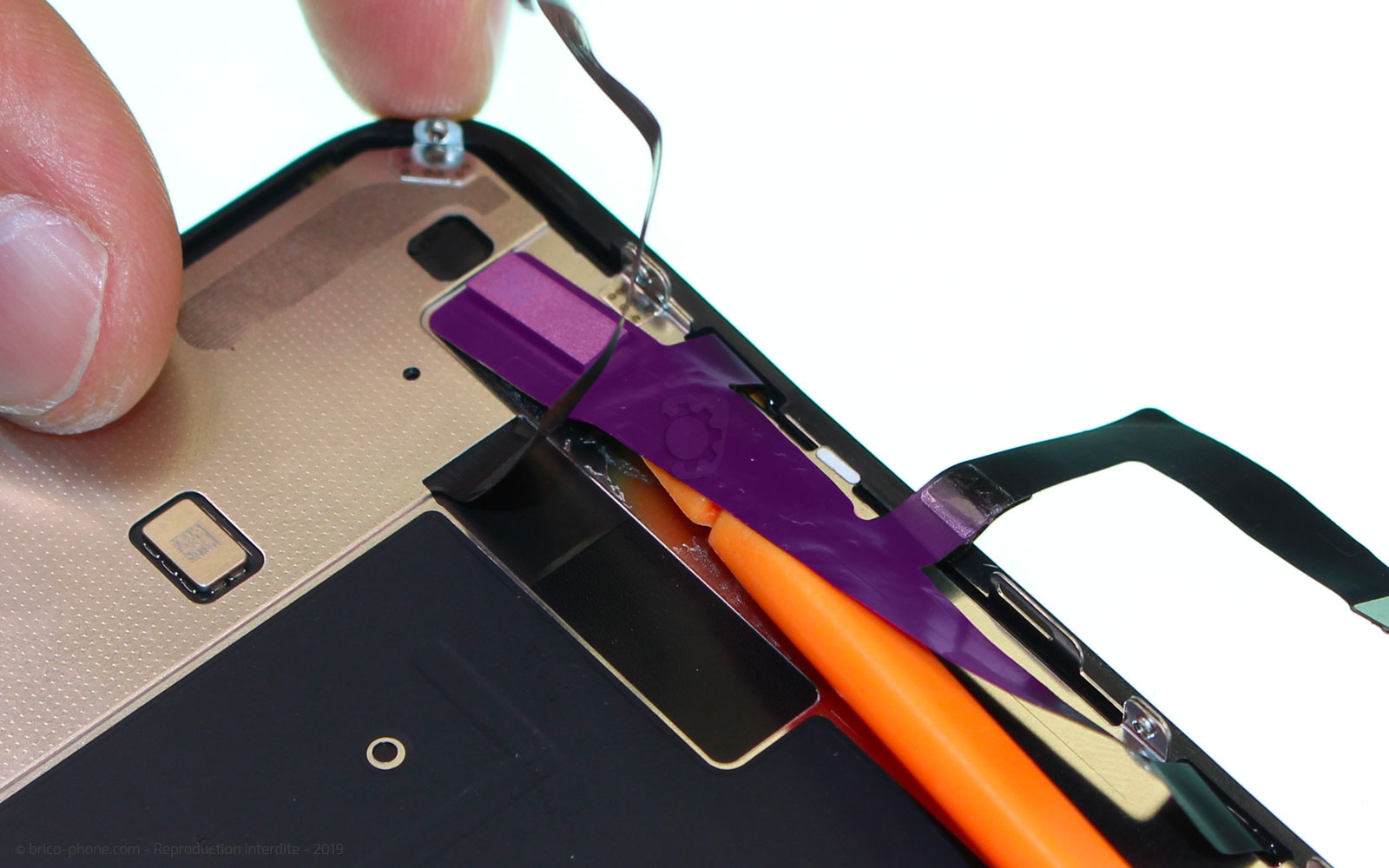 Démontage complet  sur iPhone 11 photo 3
