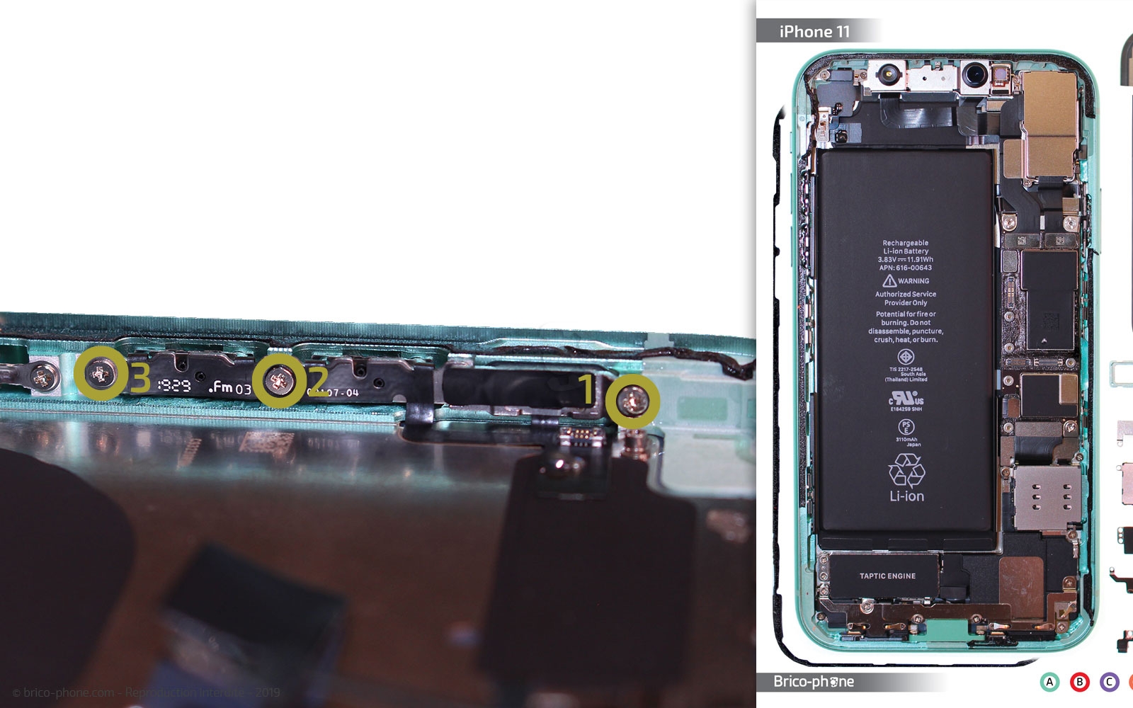 Démontage complet  sur iPhone 11 photo 1
