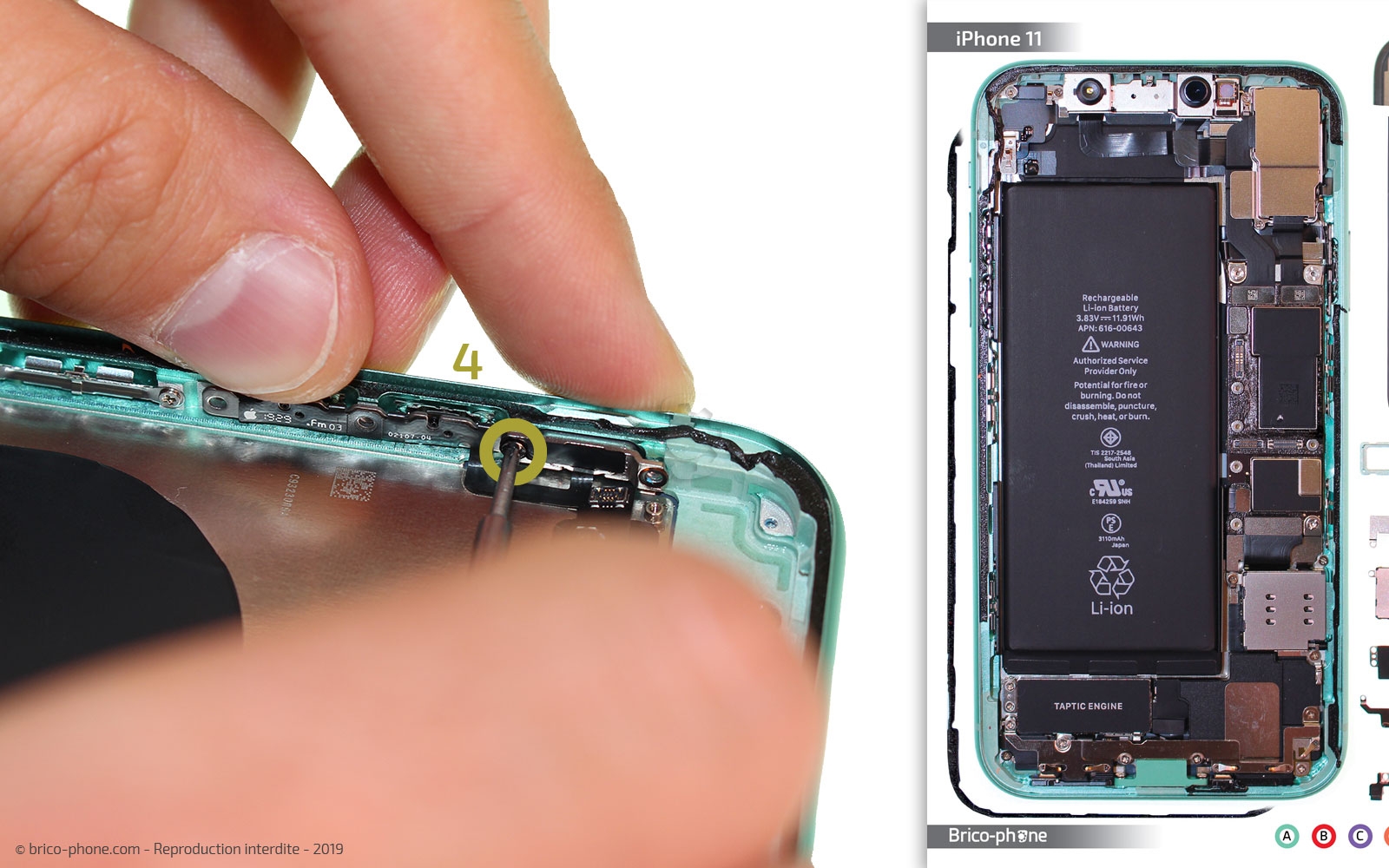 Démontage complet  sur iPhone 11 photo 3