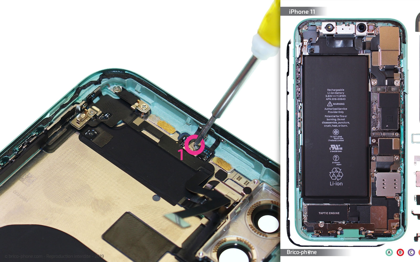 Démontage complet  sur iPhone 11 photo 2