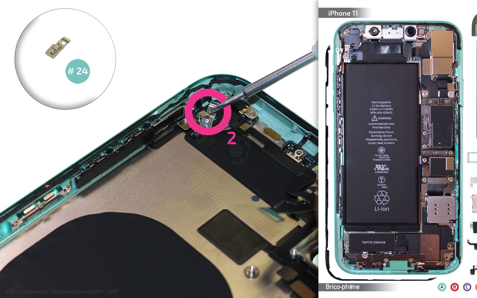 Démontage complet  sur iPhone 11 photo 4