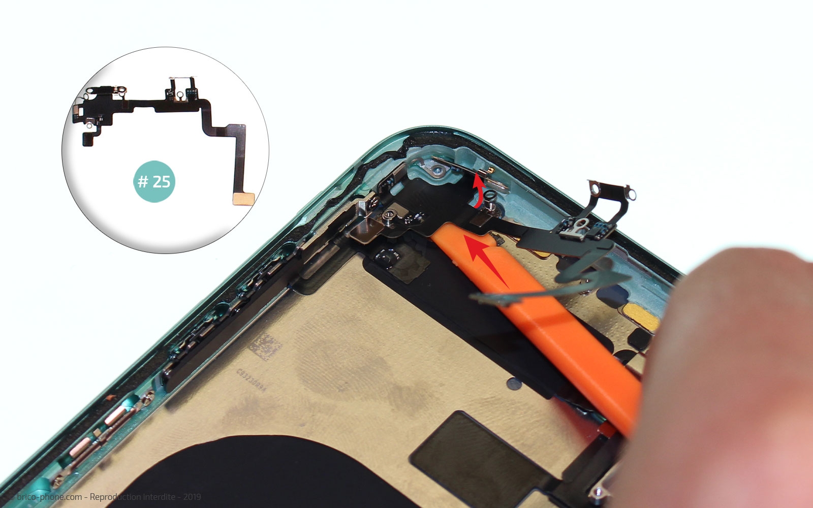 Démontage complet  sur iPhone 11 photo 3