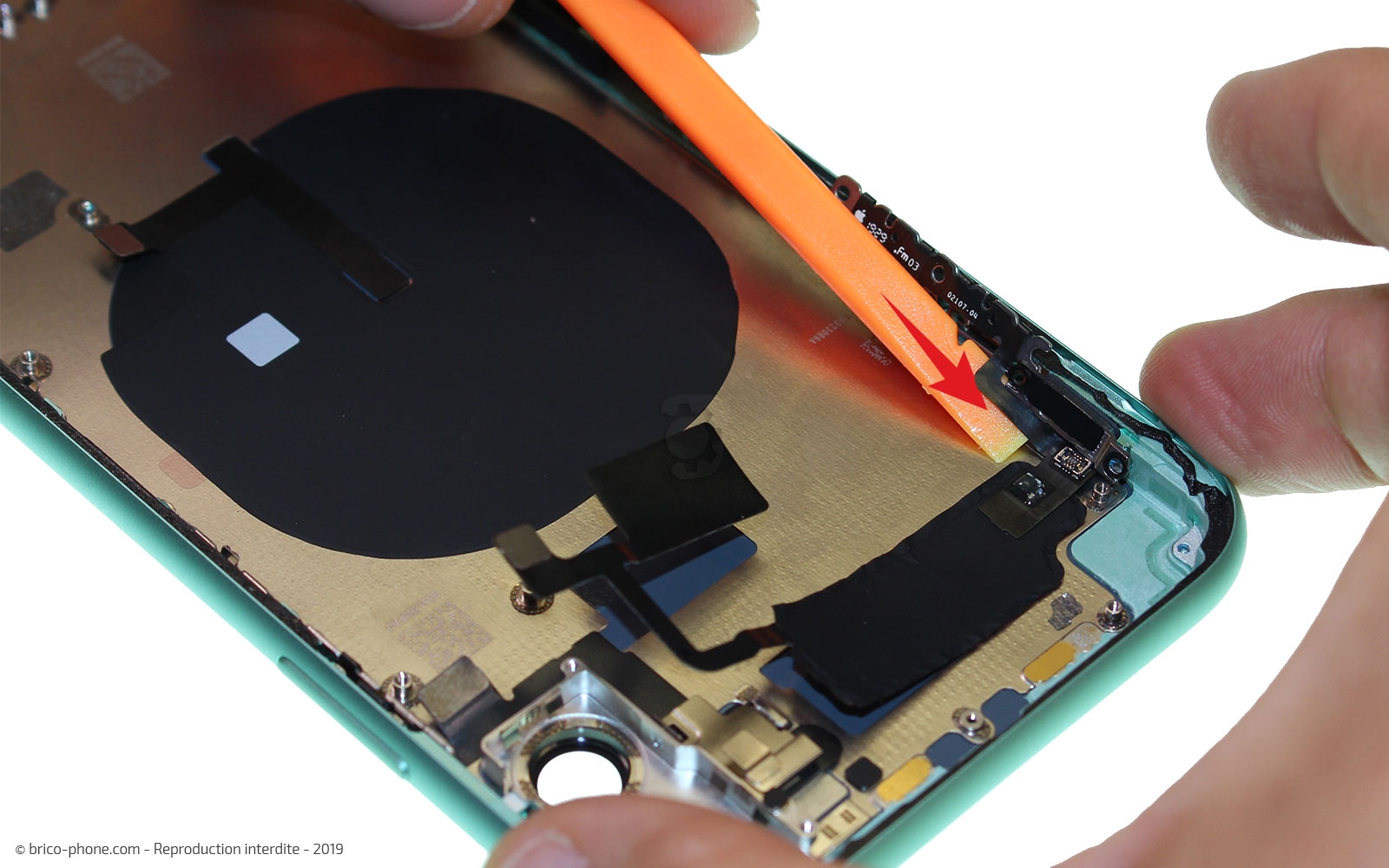 Démontage complet  sur iPhone 11 photo 3