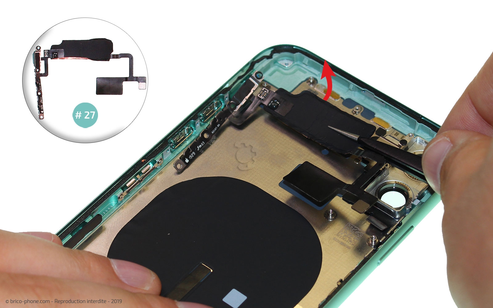 Démontage complet  sur iPhone 11 photo 4