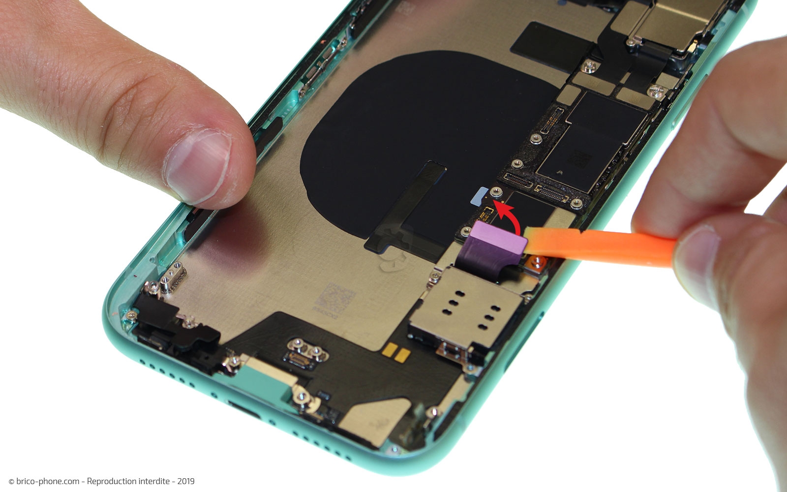 Démontage complet  sur iPhone 11 photo 1
