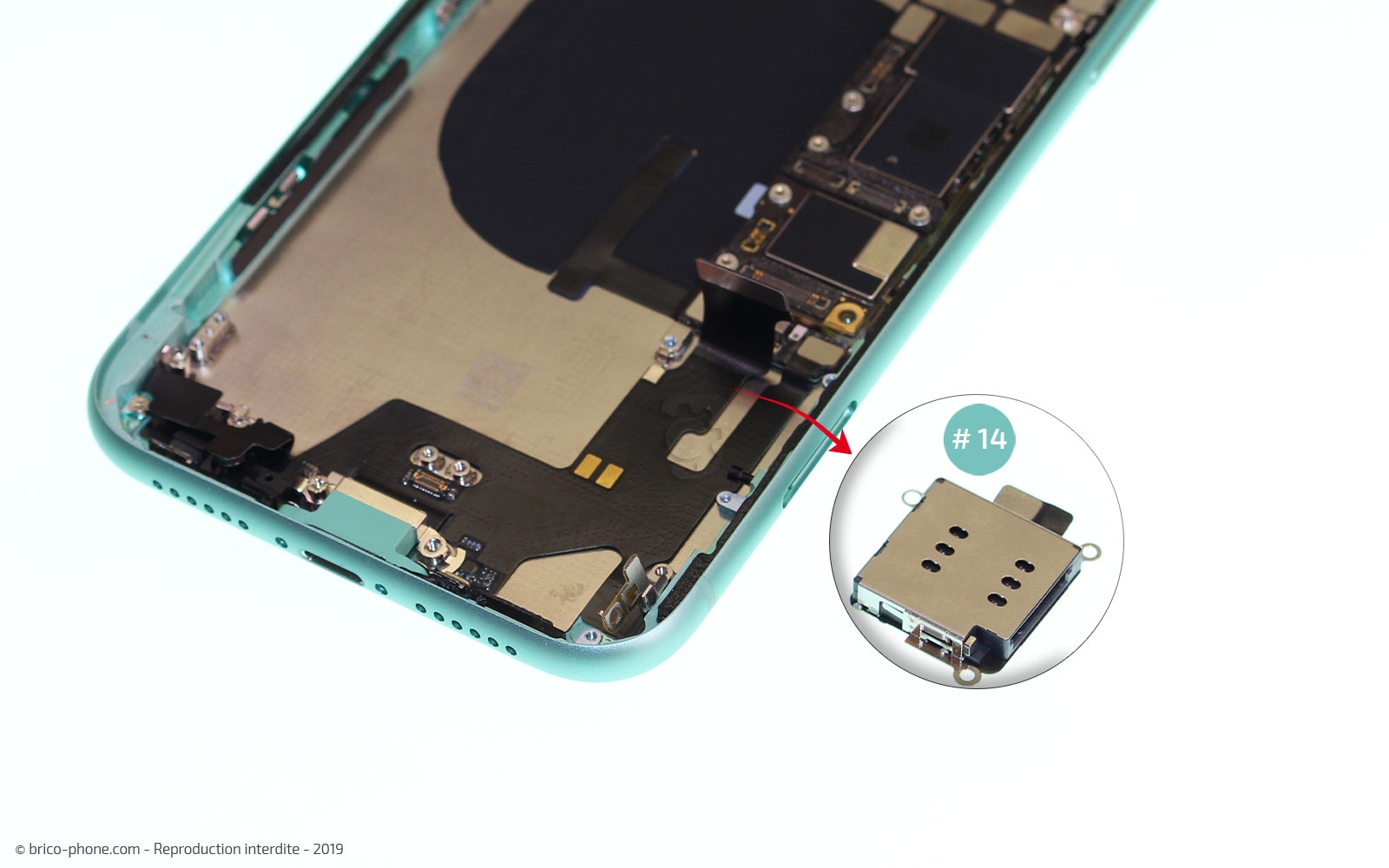 Démontage complet  sur iPhone 11 photo 3