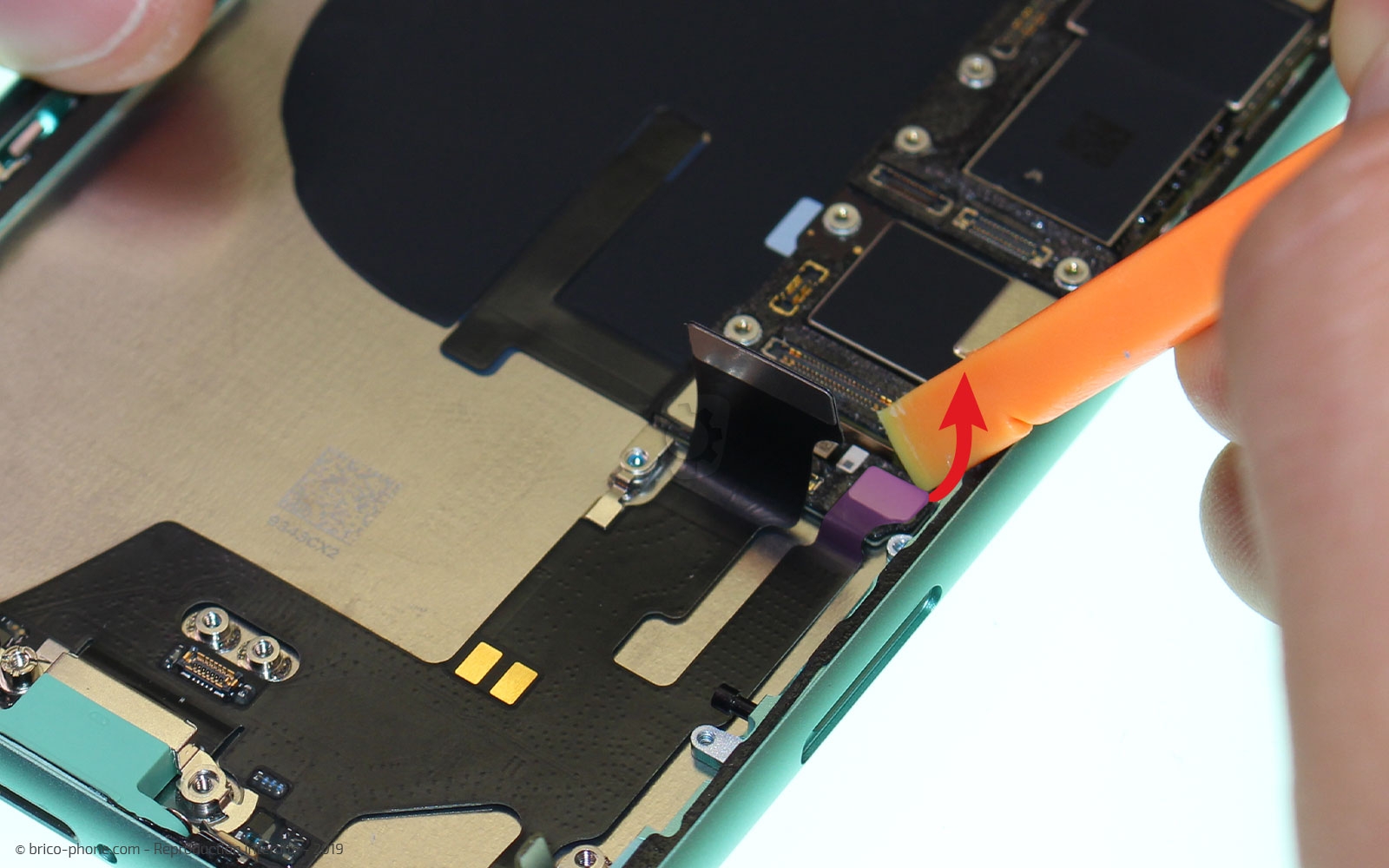 Démontage complet  sur iPhone 11 photo 4
