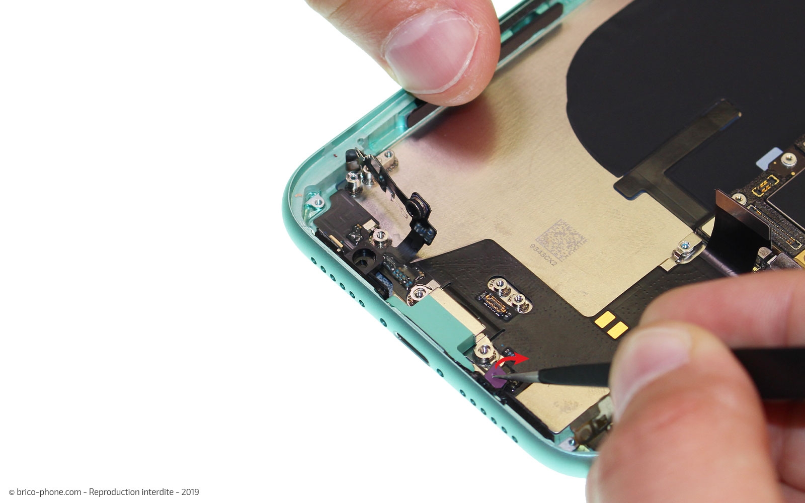 Démontage complet  sur iPhone 11 photo 2