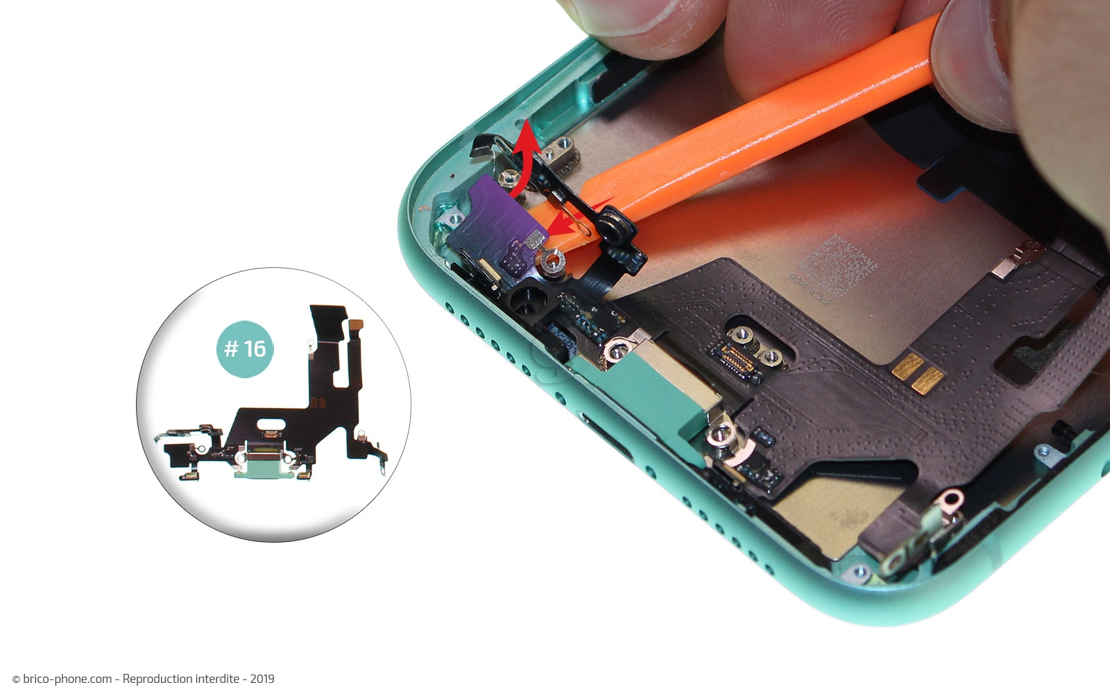 Démontage complet  sur iPhone 11 photo 4