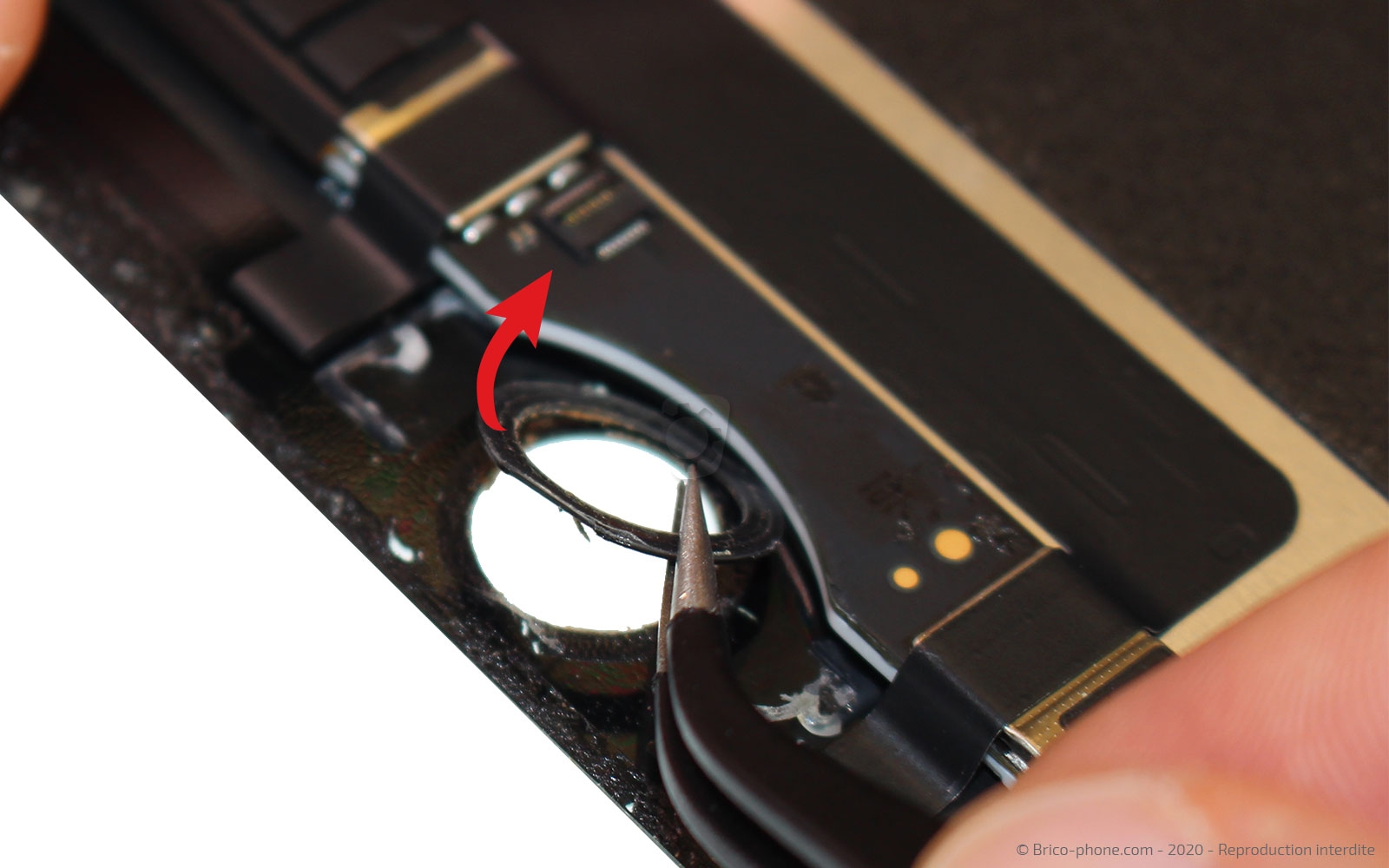 Changement d'écran (vitre et LCD) sur iPad Pro 9-7 photo 2