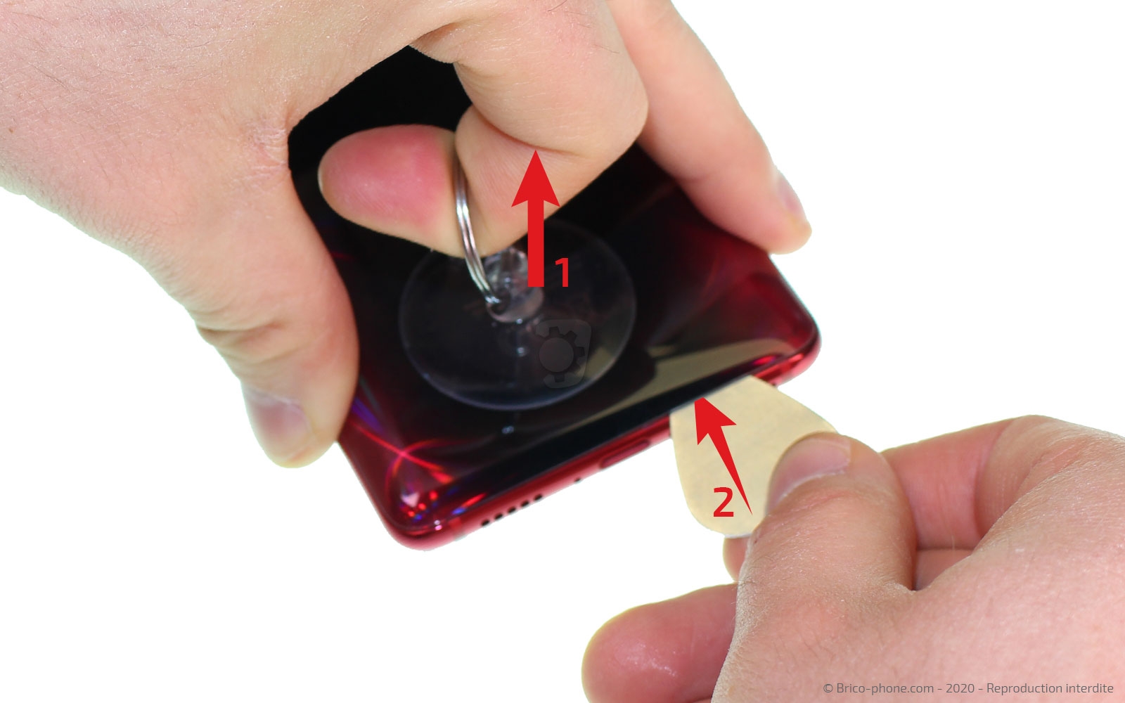 Démontage complet sur Mi 9T - Mi 9T Pro photo 1