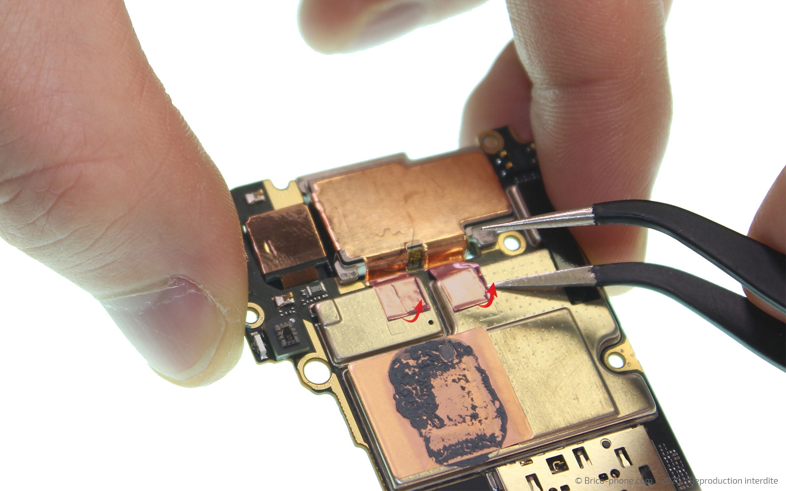 Démontage complet sur Mi 9 SE photo 4