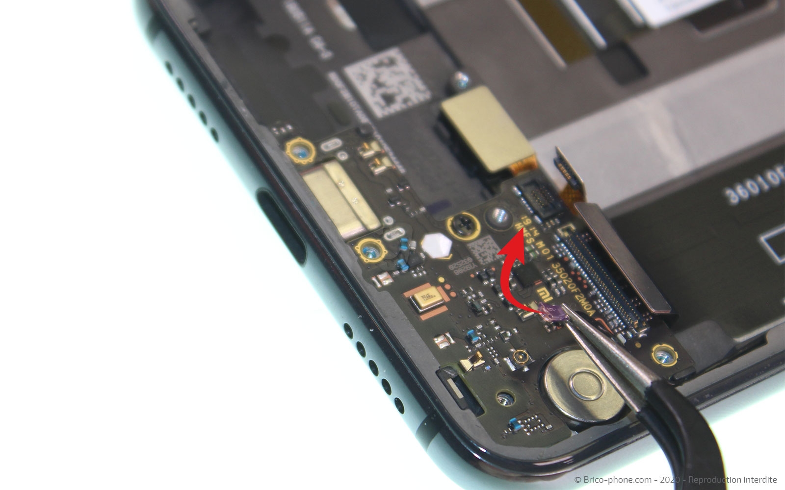 Démontage complet sur Mi 9 SE photo 3