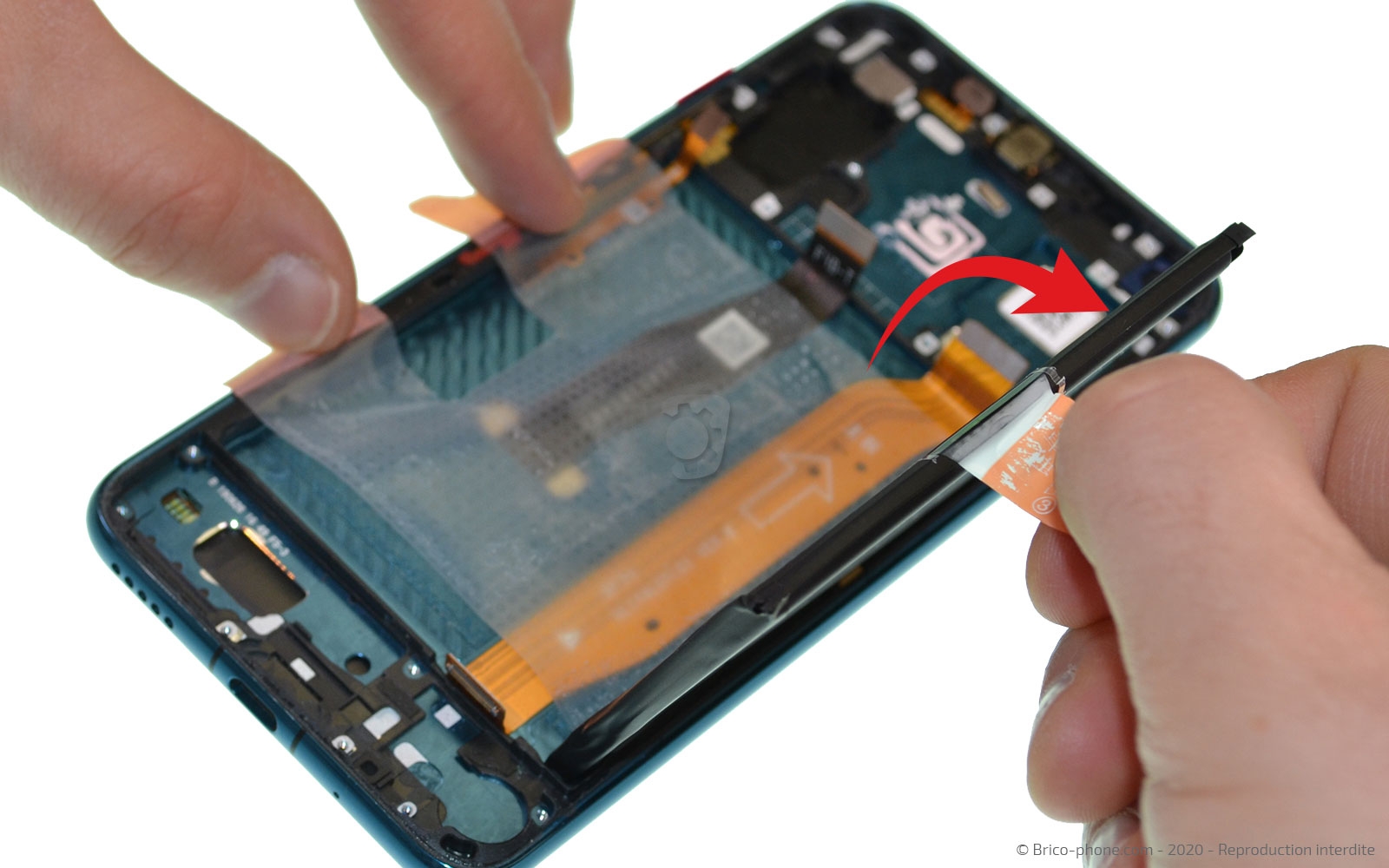 Démontage complet sur Honor 20 Pro photo 4