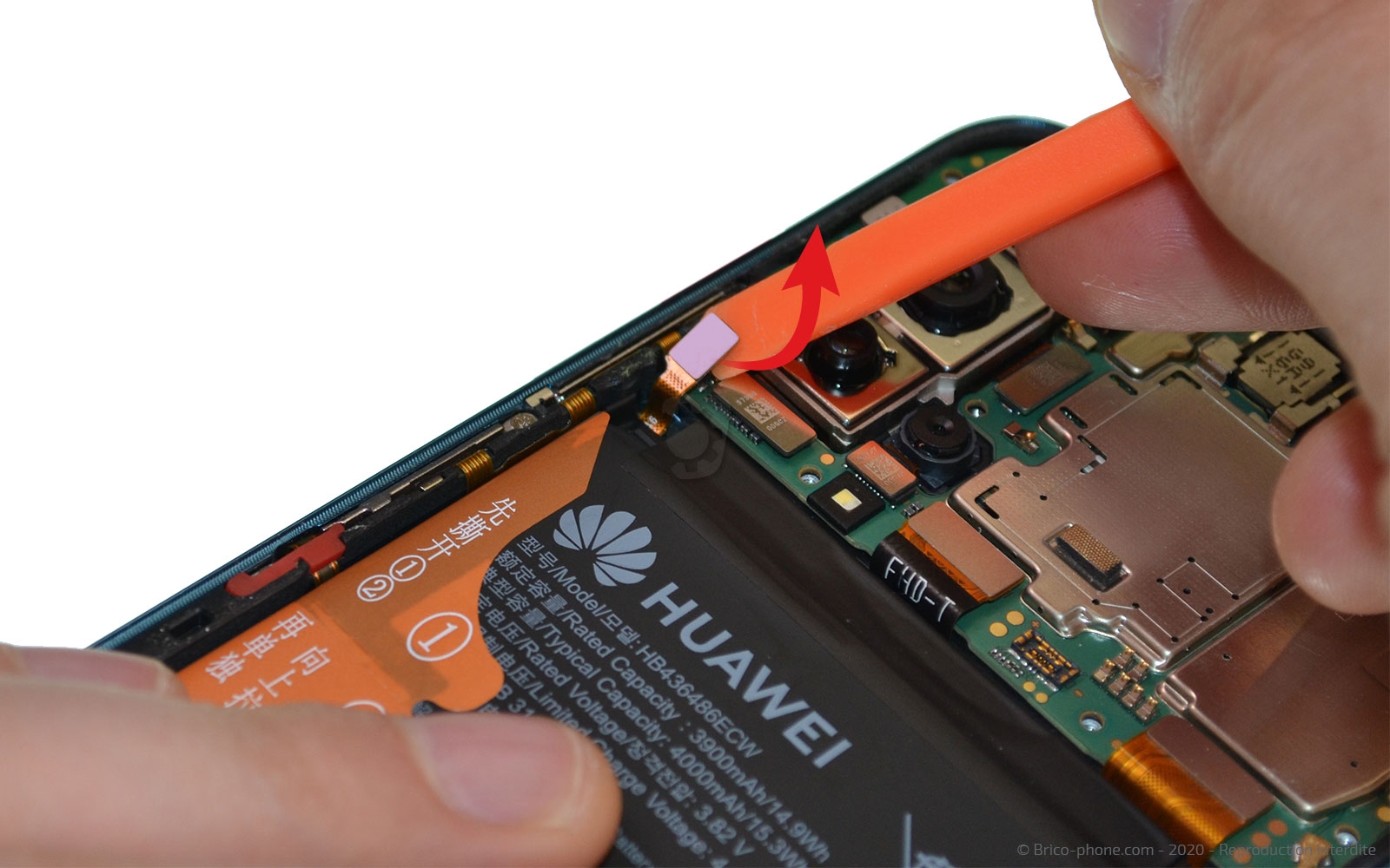 Démontage complet sur Honor 20 Pro photo 1