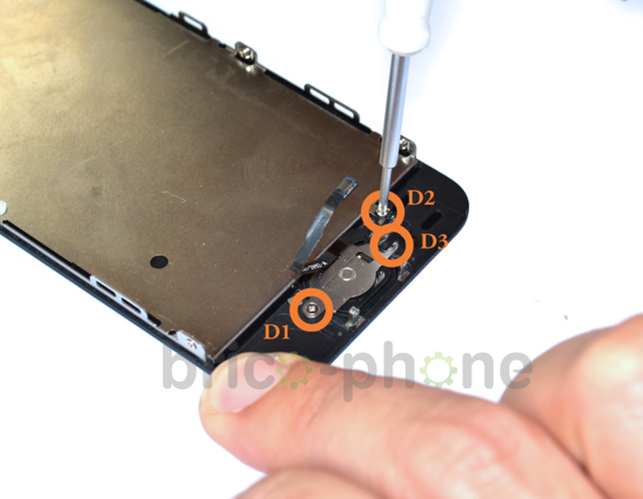 Changement de nappe bouton Home sur iPhone 5S photo 1