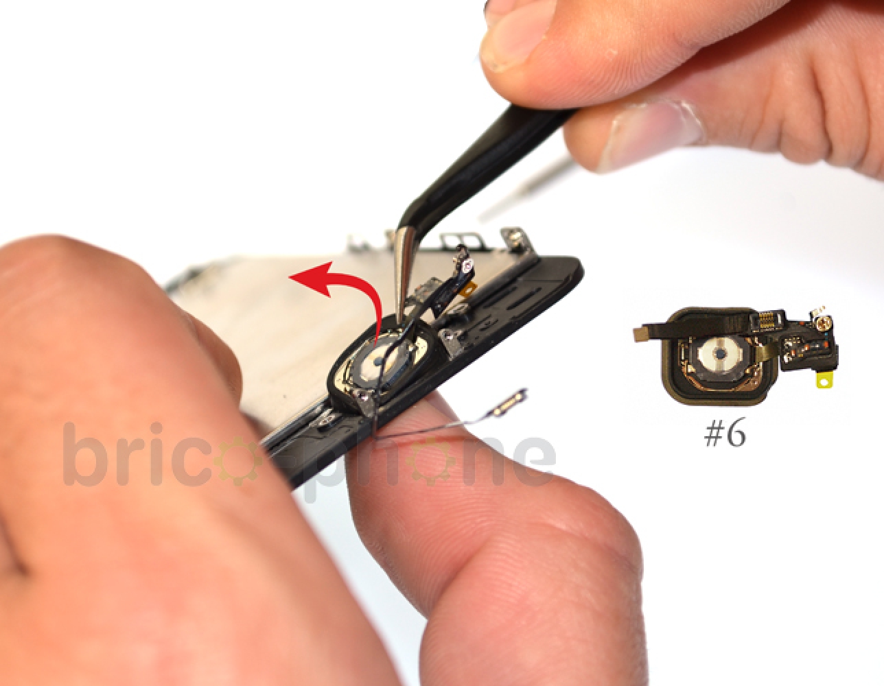 Changement de nappe bouton Home sur iPhone 5S photo 1