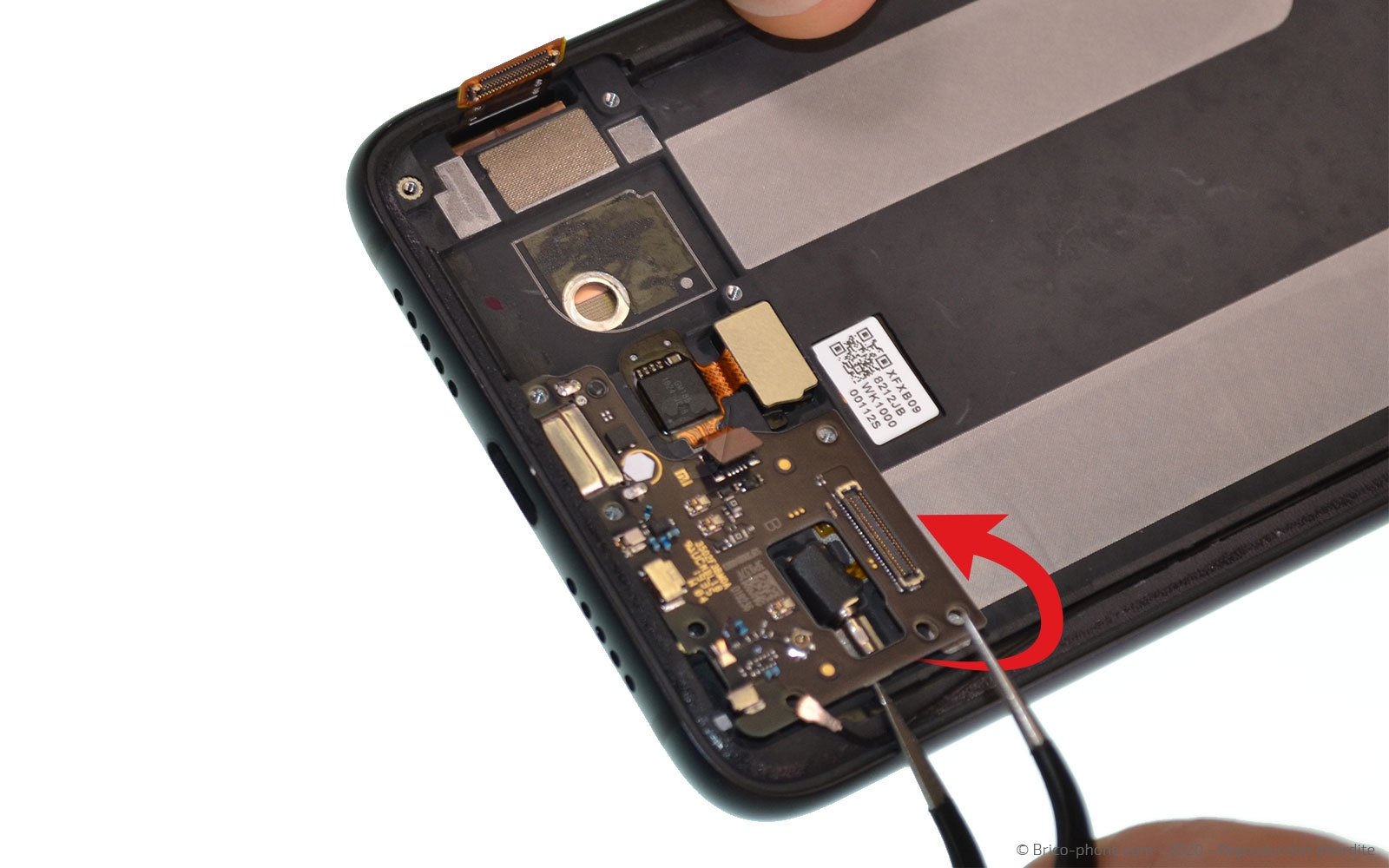 Démontage complet sur Mi 9 Lite photo 2