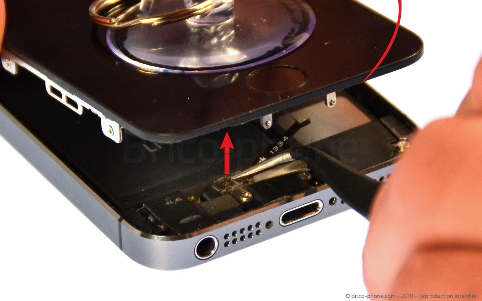 Changement du haut-parleur externe sur iPhone 5S photo 2