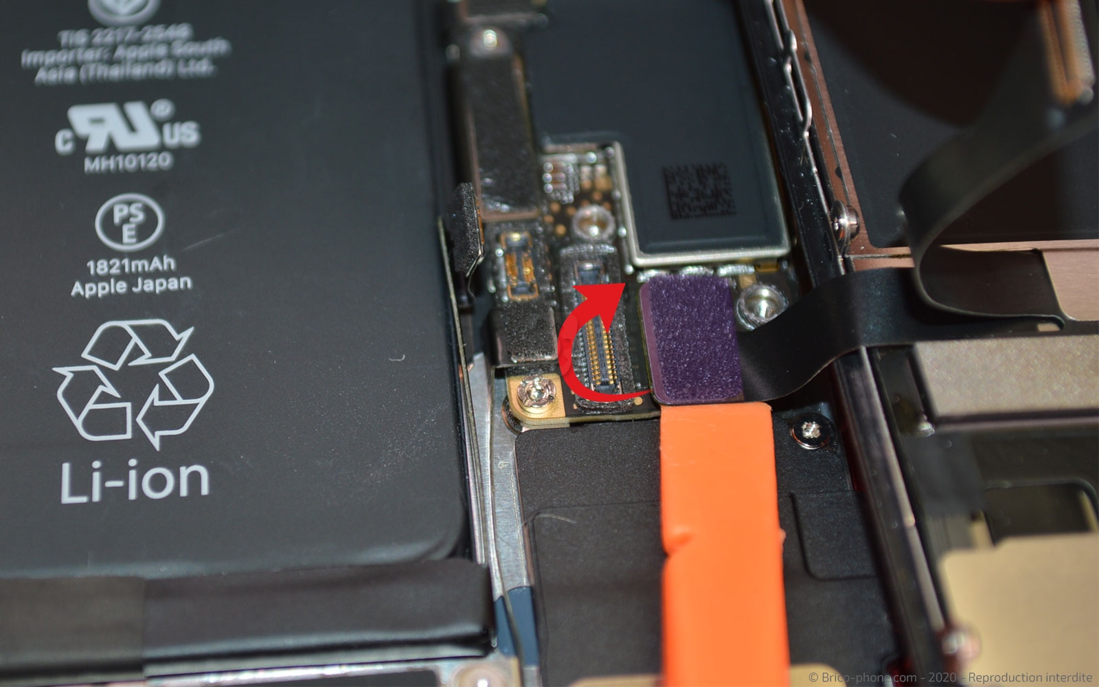 Démontage complet sur iPhone SE 2020 photo 3