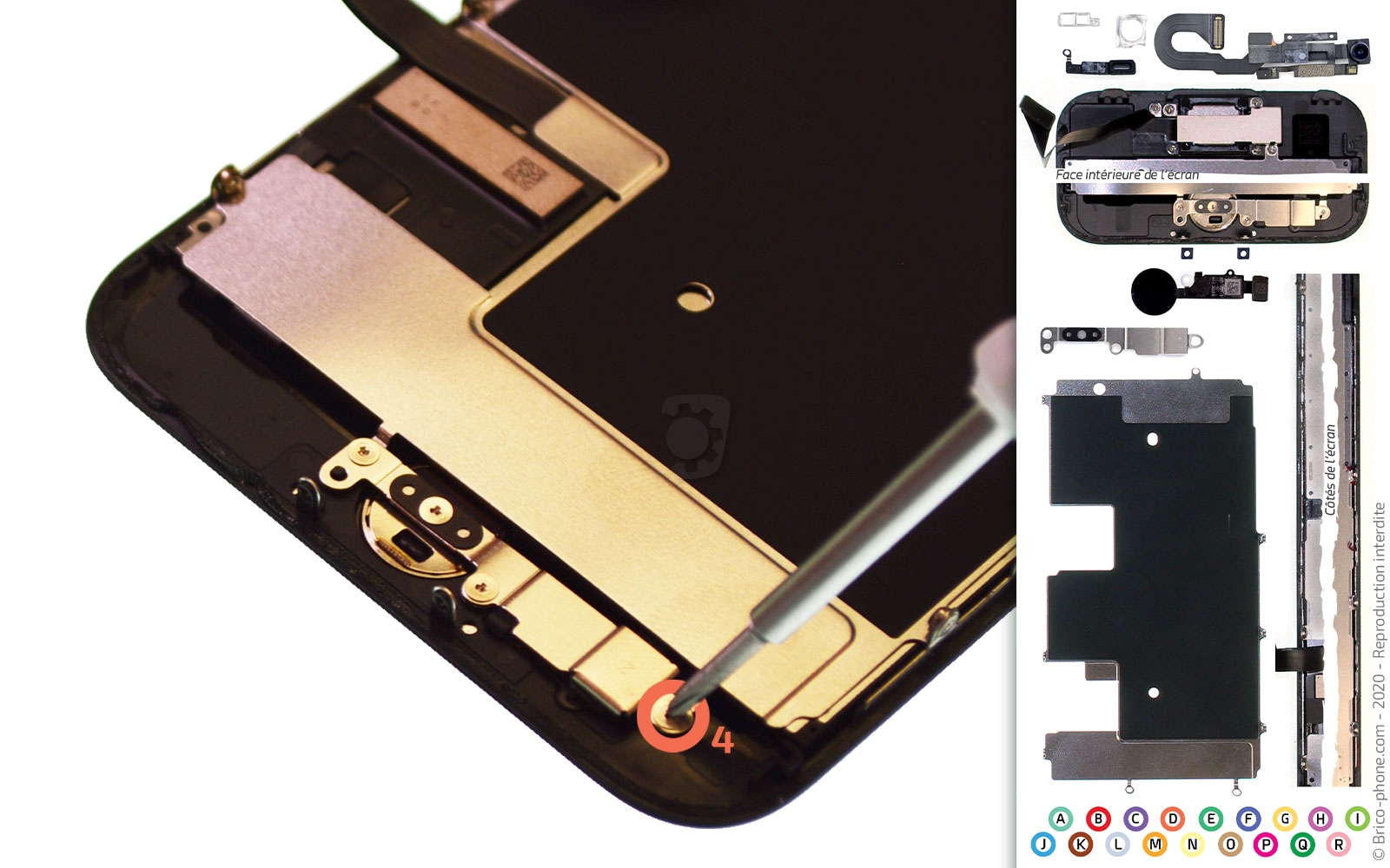 Démontage complet sur iPhone SE 2020 photo 2