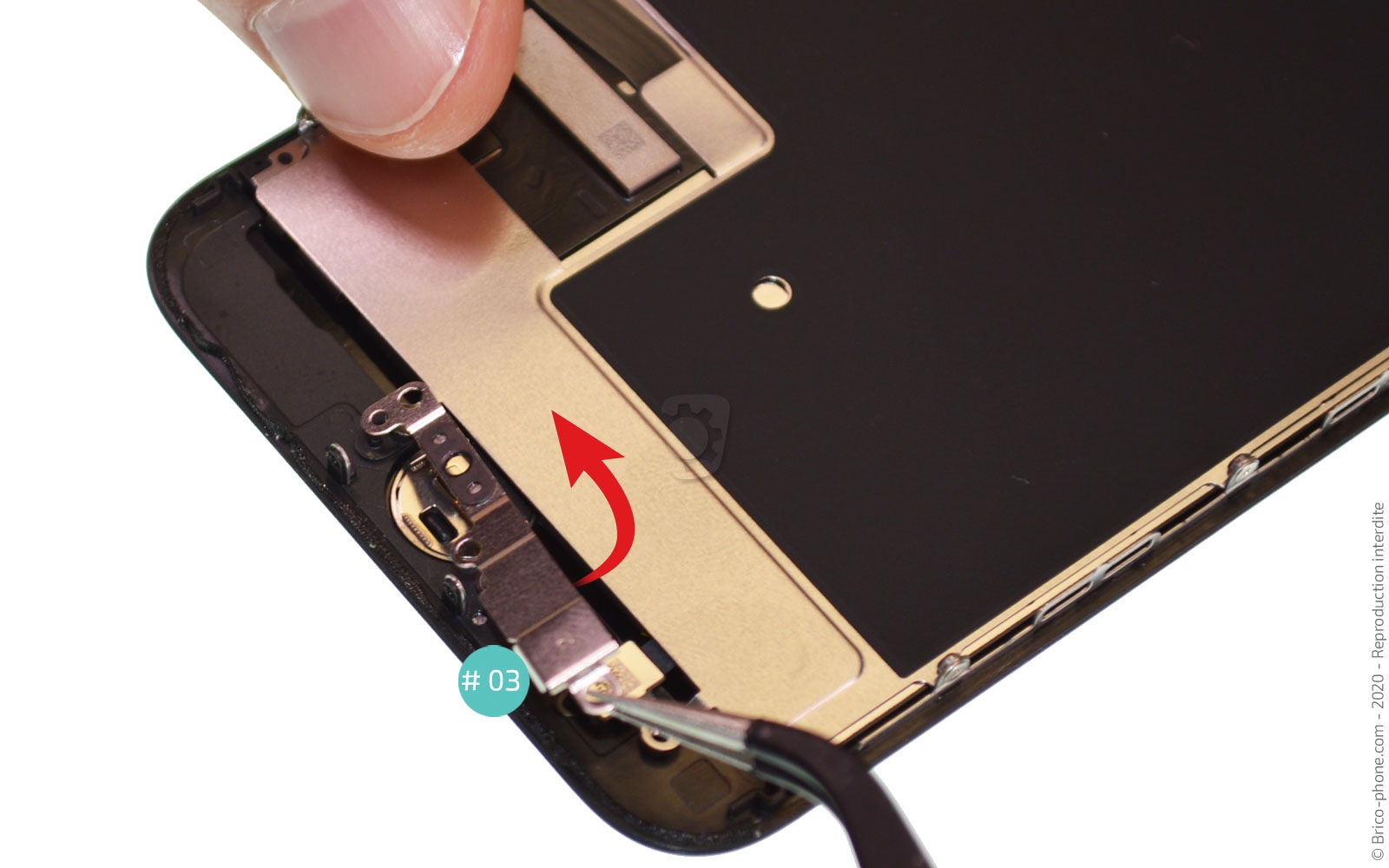 Démontage complet sur iPhone SE 2020 photo 3