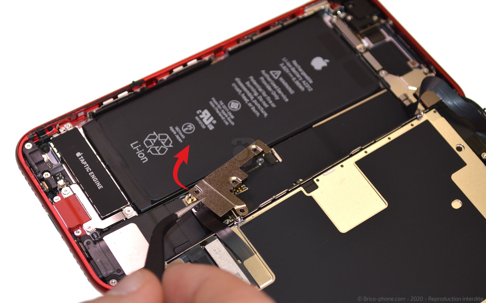 Démontage complet sur iPhone SE 2020 photo 3