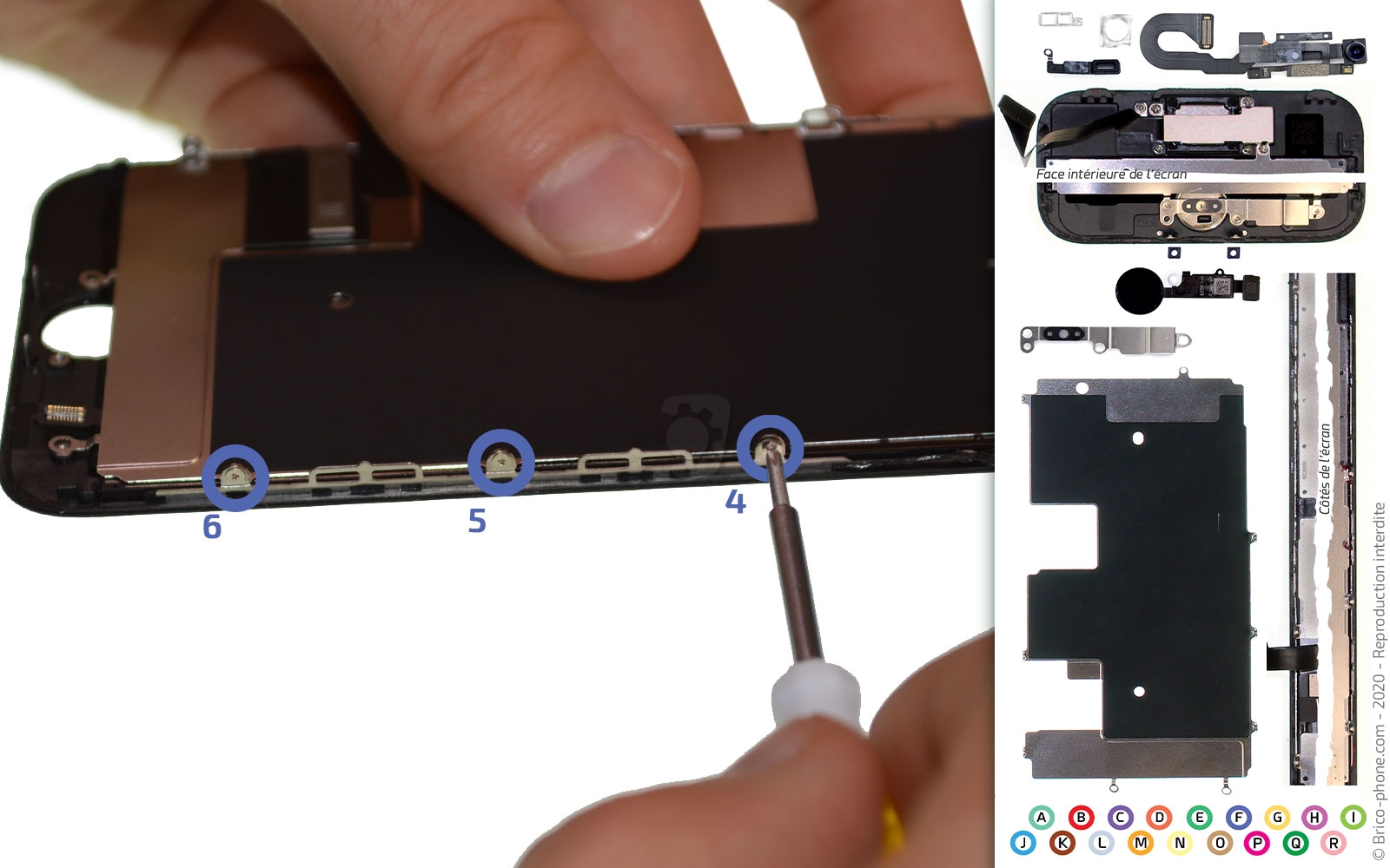 Démontage complet sur iPhone SE 2020 photo 2