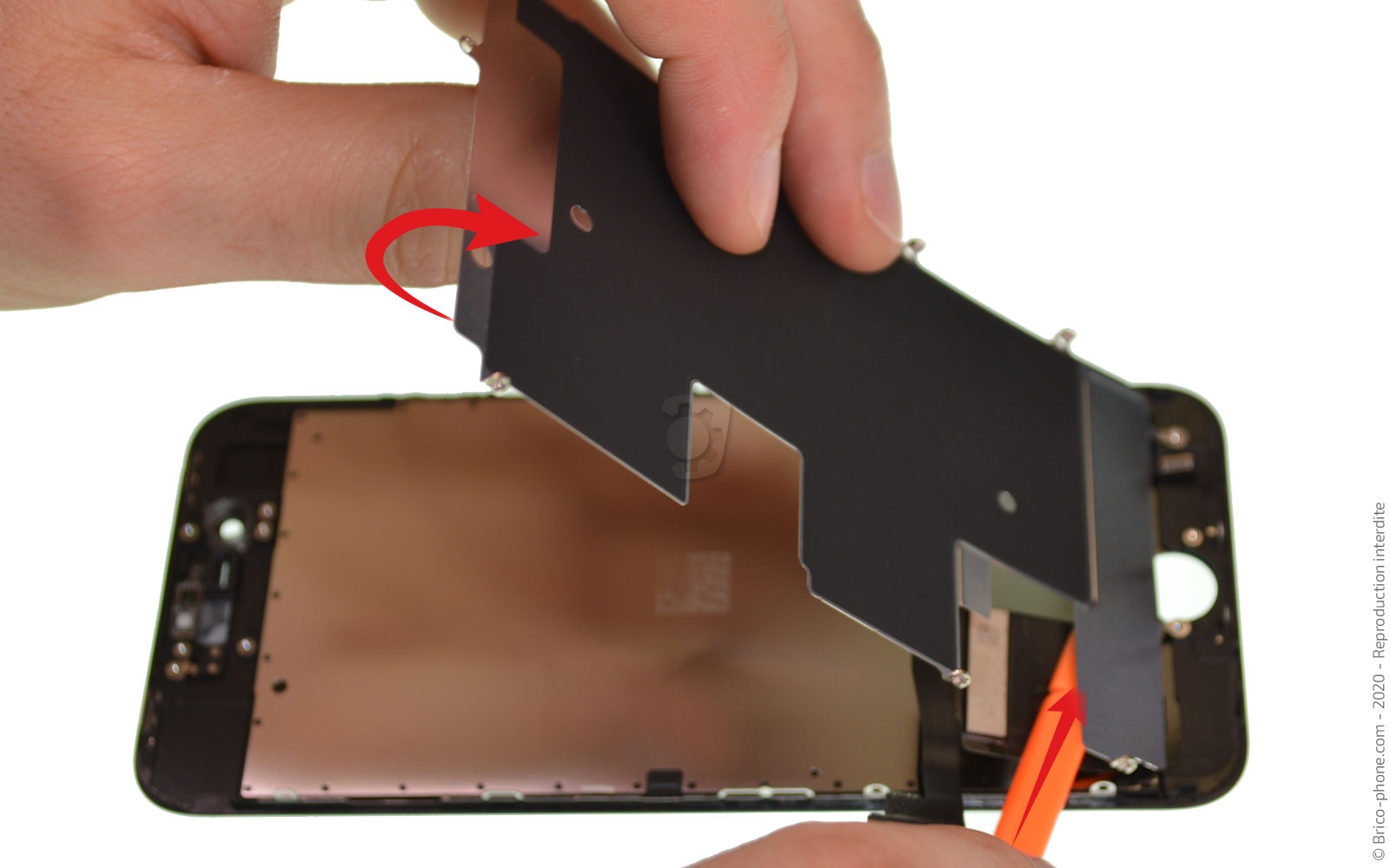 Démontage complet sur iPhone SE 2020 photo 3