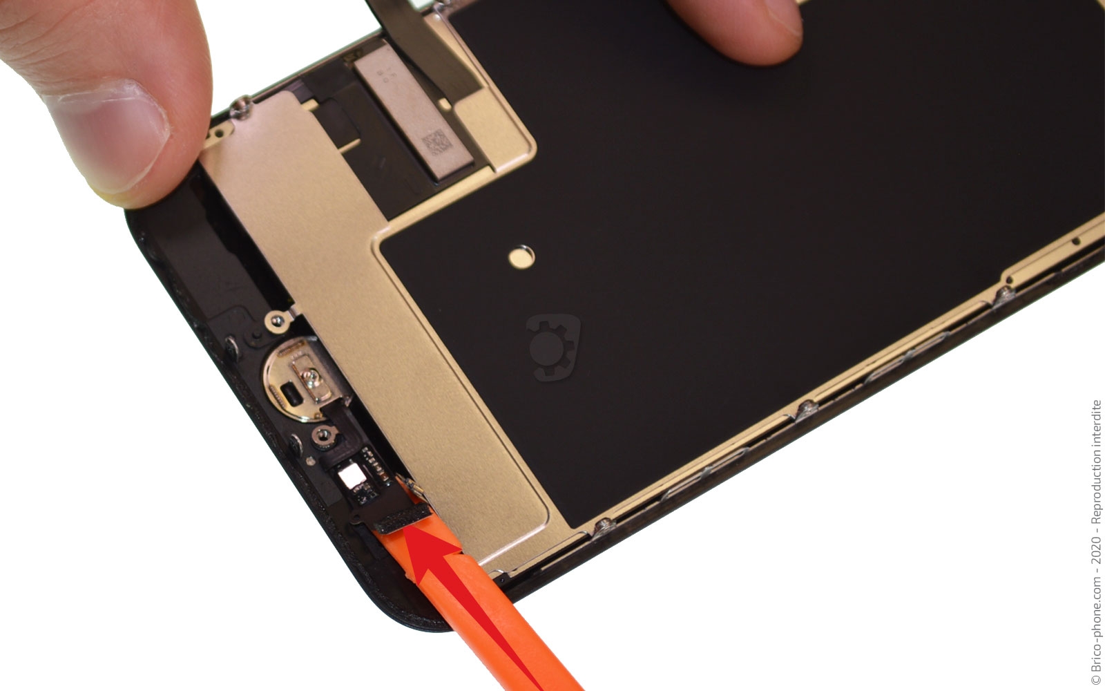 Démontage complet sur iPhone SE 2020 photo 3