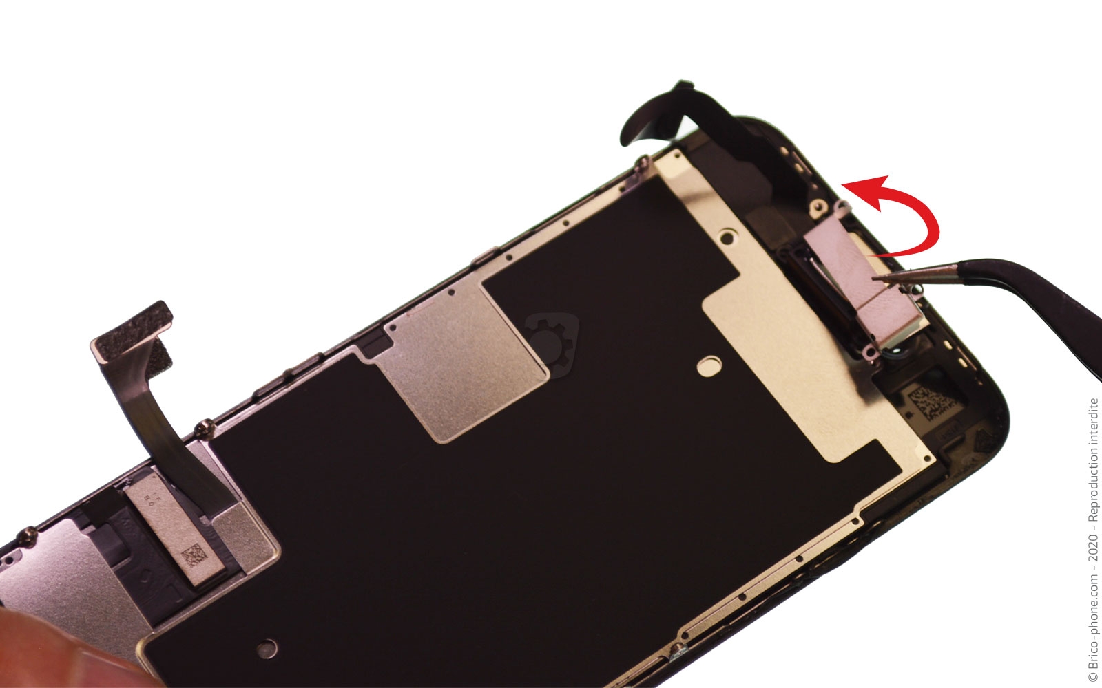 Démontage complet sur iPhone SE 2020 photo 2