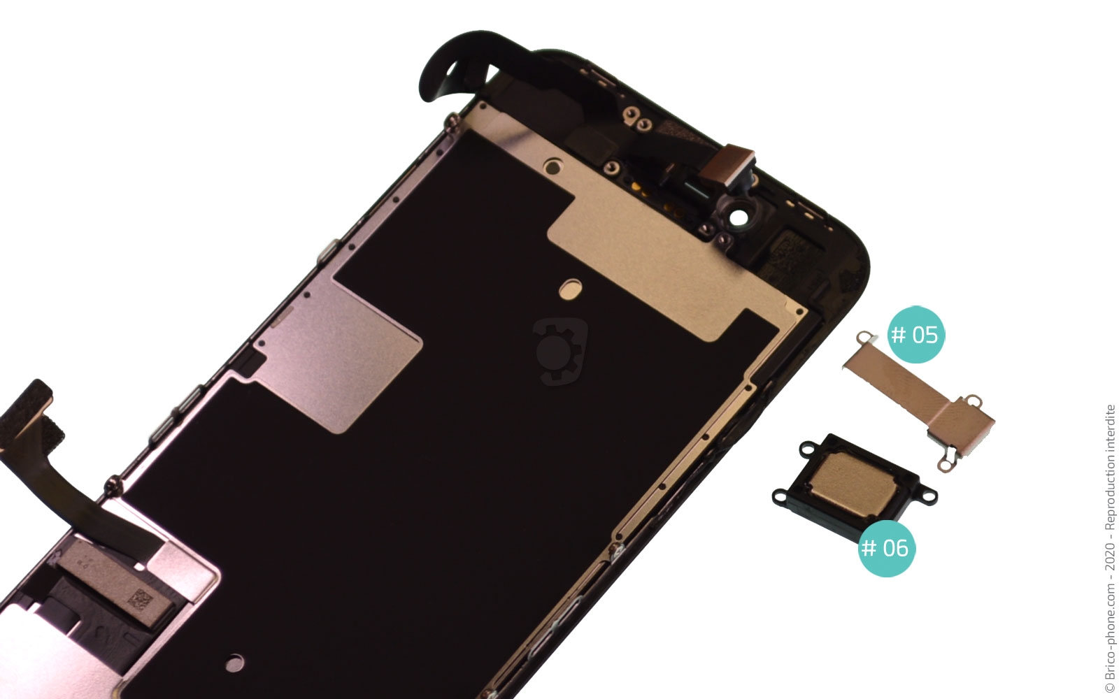 Démontage complet sur iPhone SE 2020 photo 4