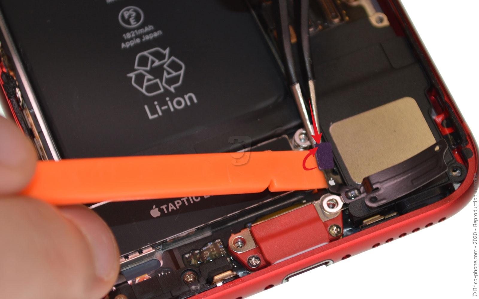 Démontage complet sur iPhone SE 2020 photo 1