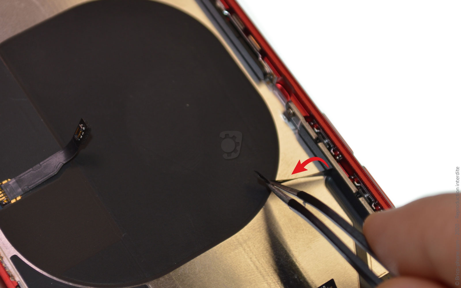 Démontage complet sur iPhone SE 2020 photo 1