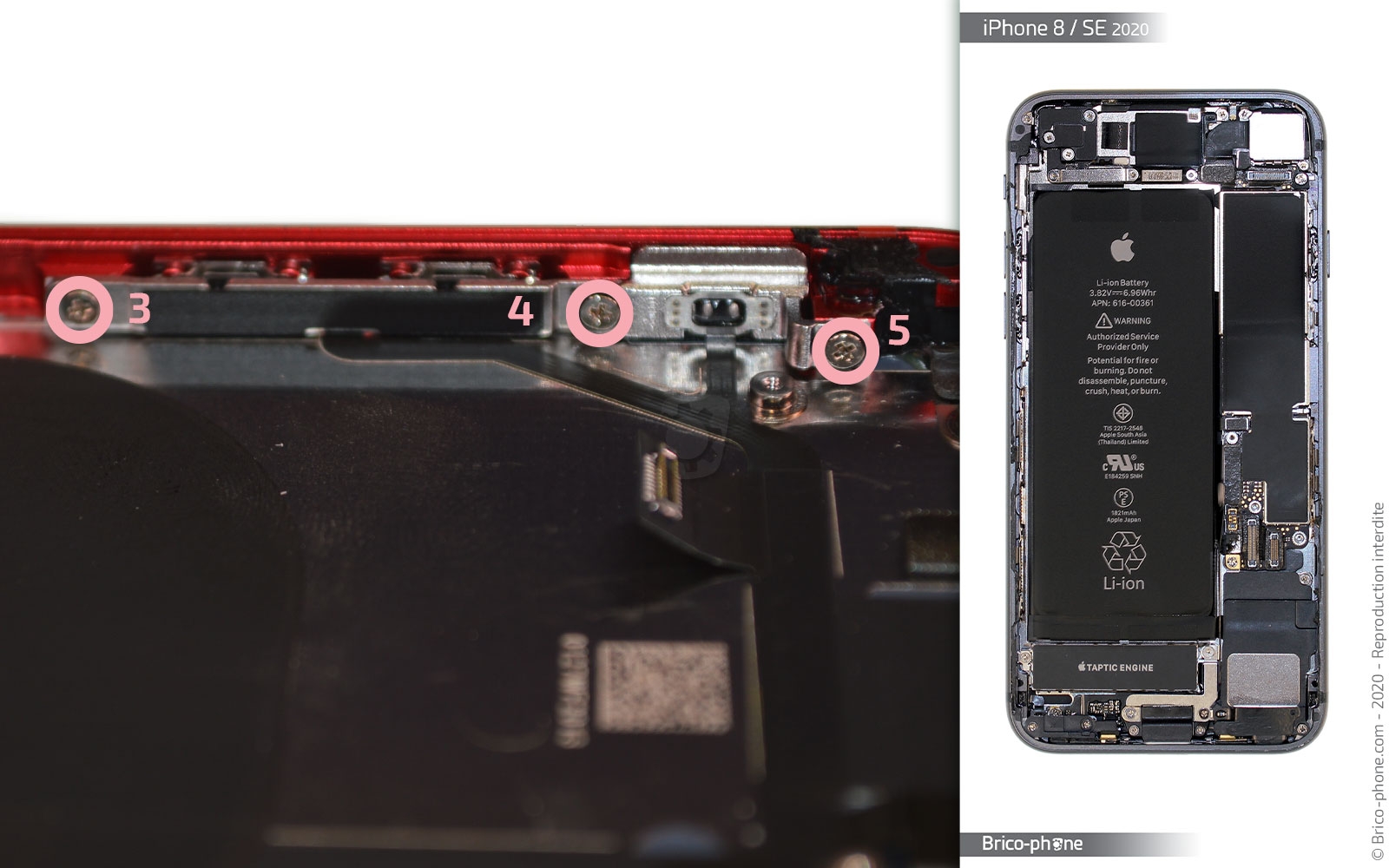 Démontage complet sur iPhone SE 2020 photo 2