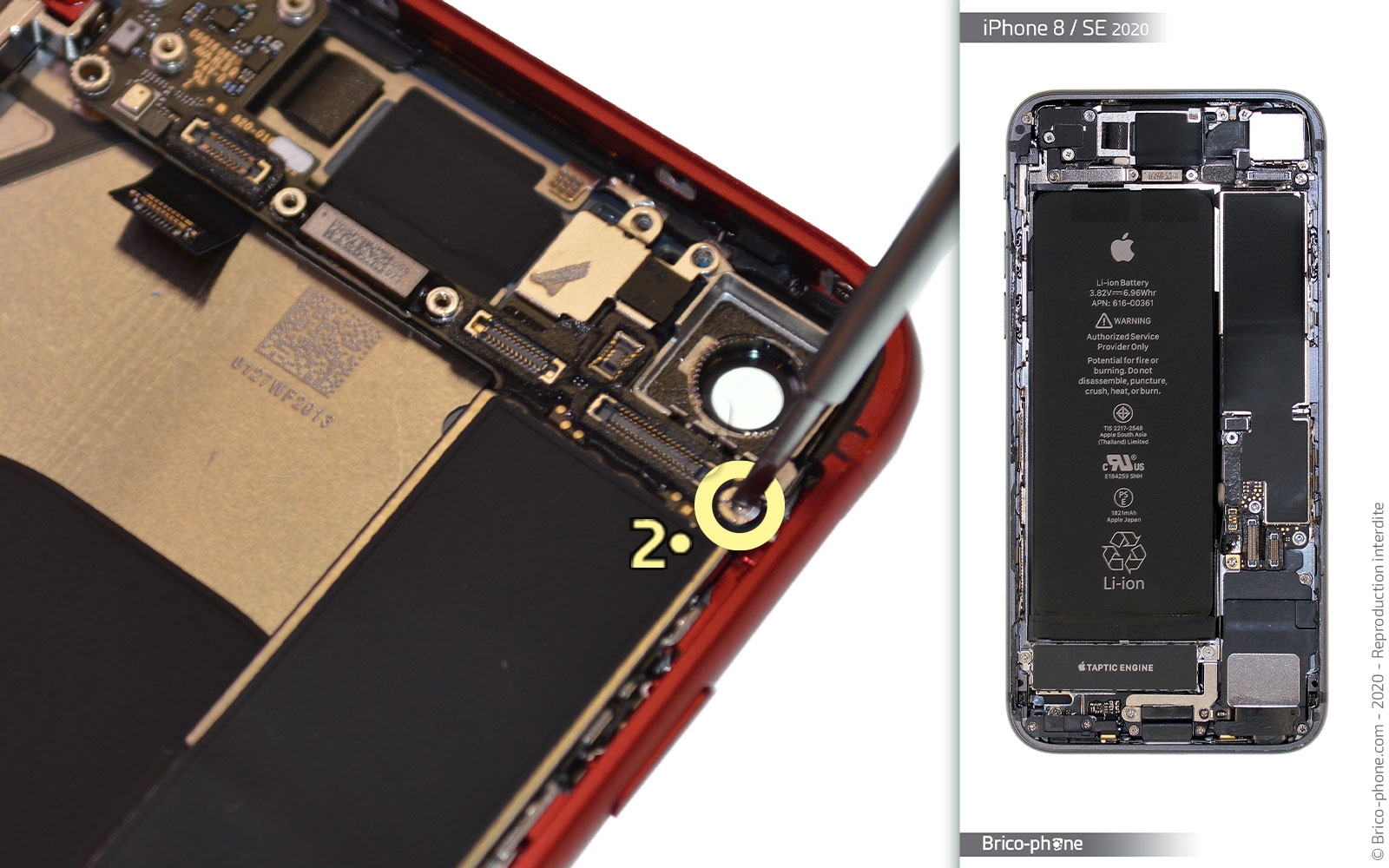 Démontage complet sur iPhone SE 2020 photo 2