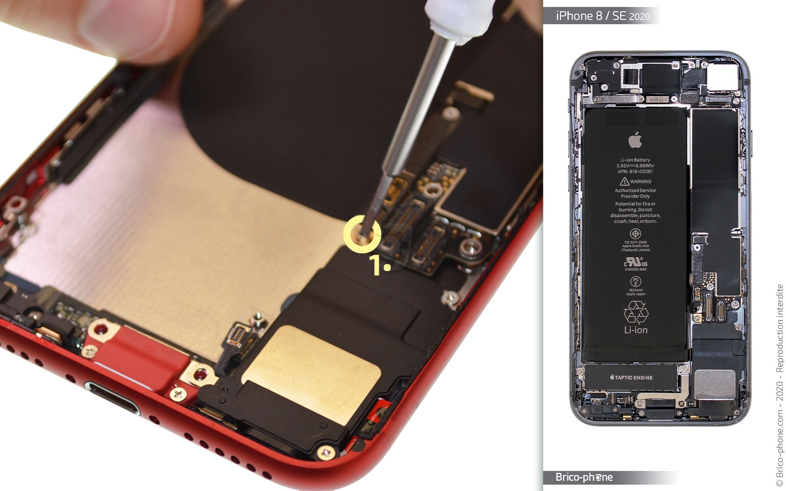 Démontage complet sur iPhone SE 2020 photo 3