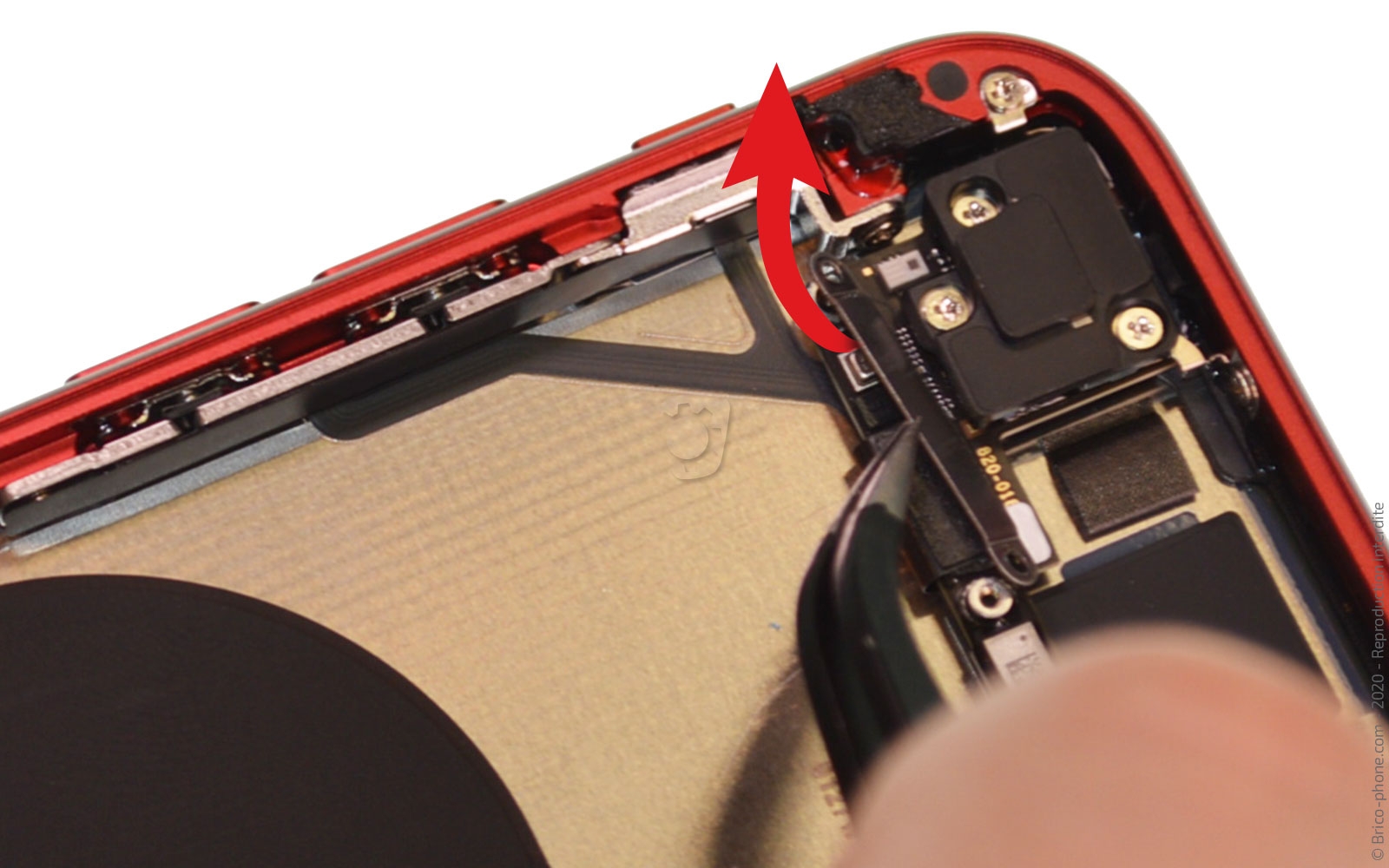 Démontage complet sur iPhone SE 2020 photo 2